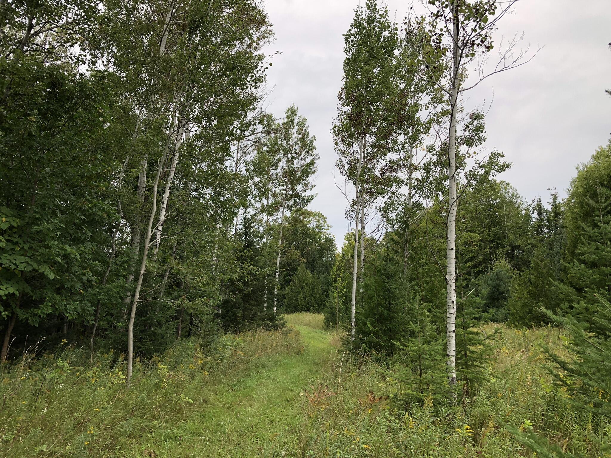 Bluffs Highway, 40 ACRES