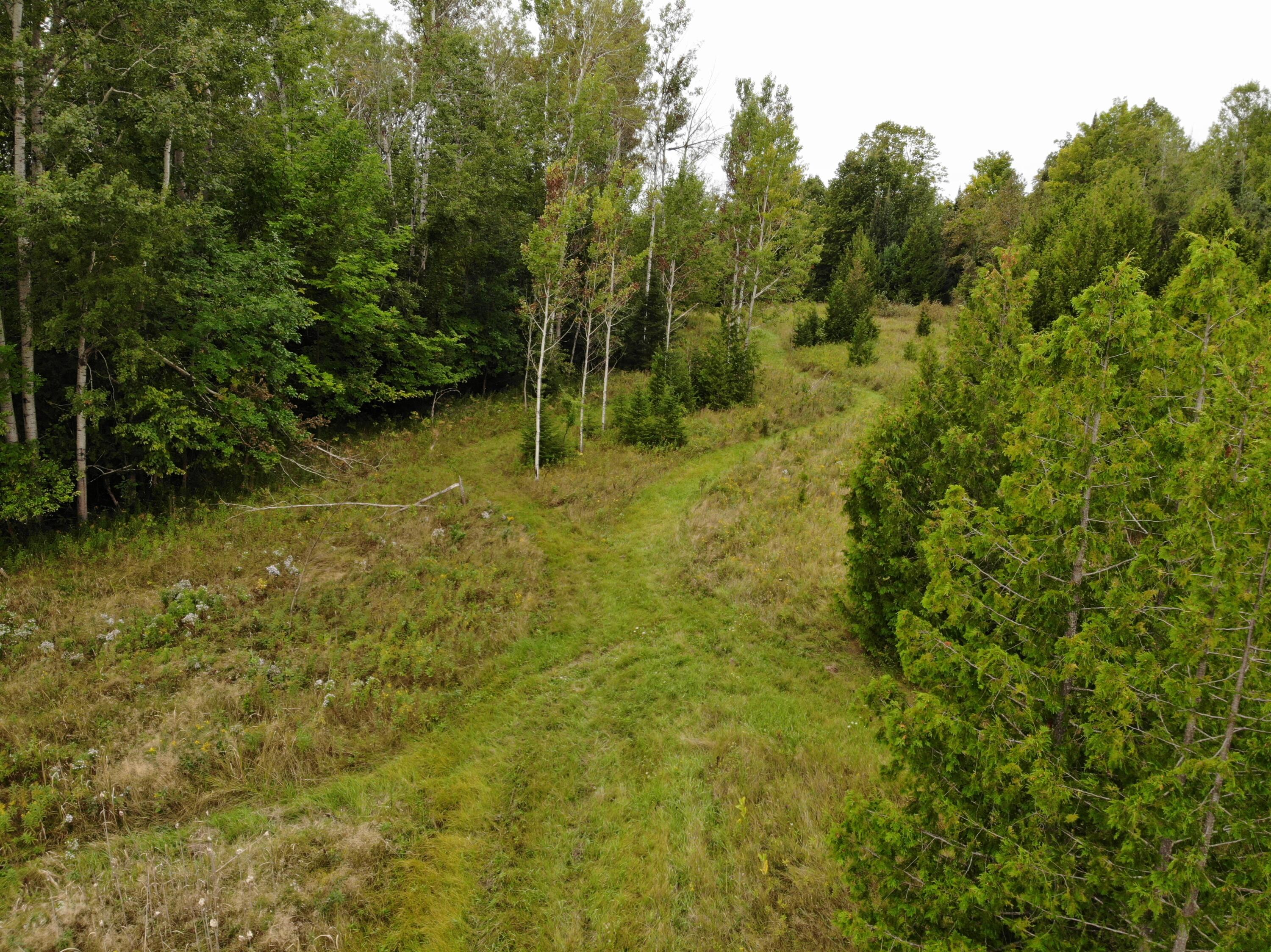 Bluffs Highway, 40 ACRES