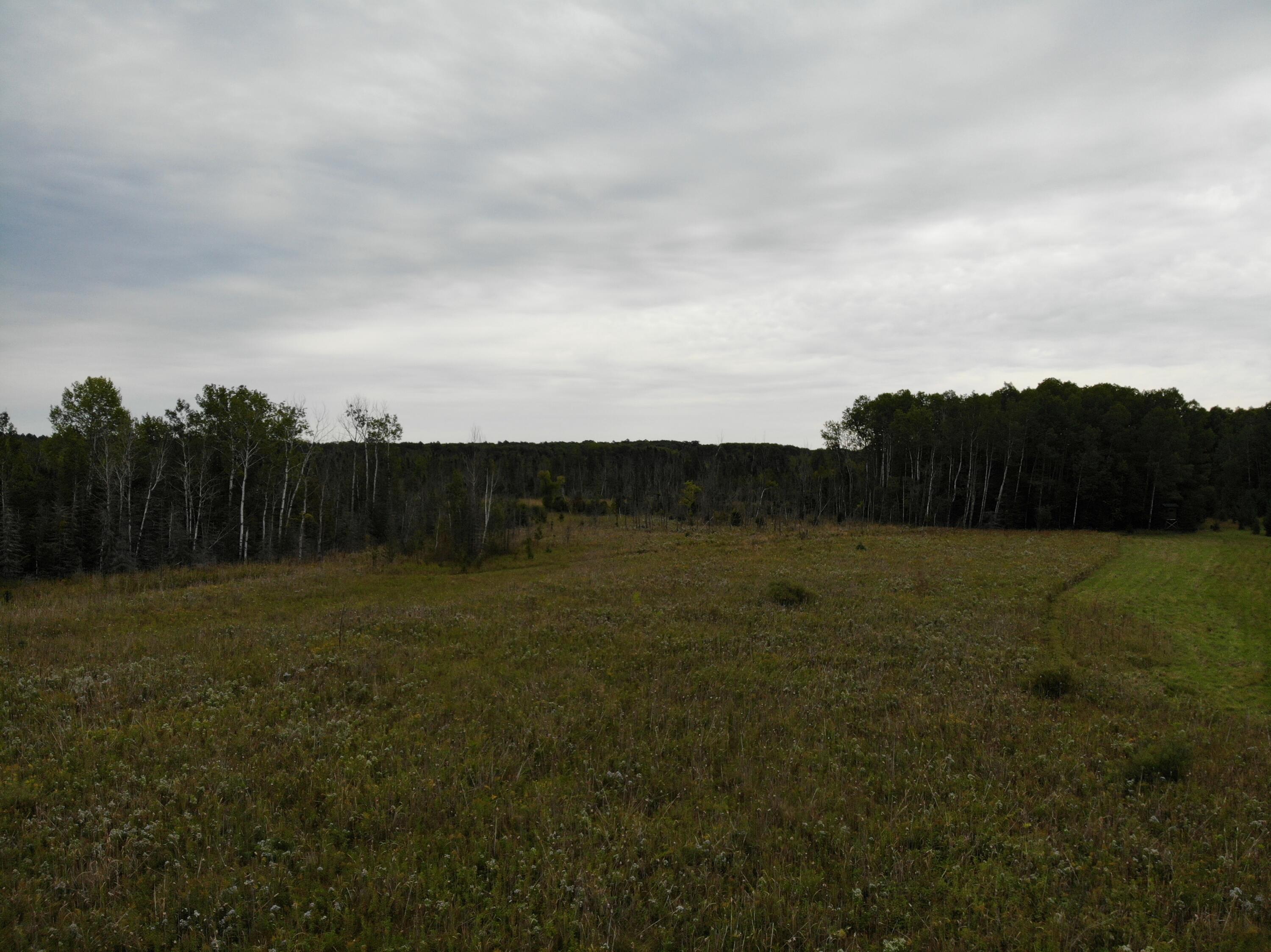 Bluffs Highway, 40 ACRES