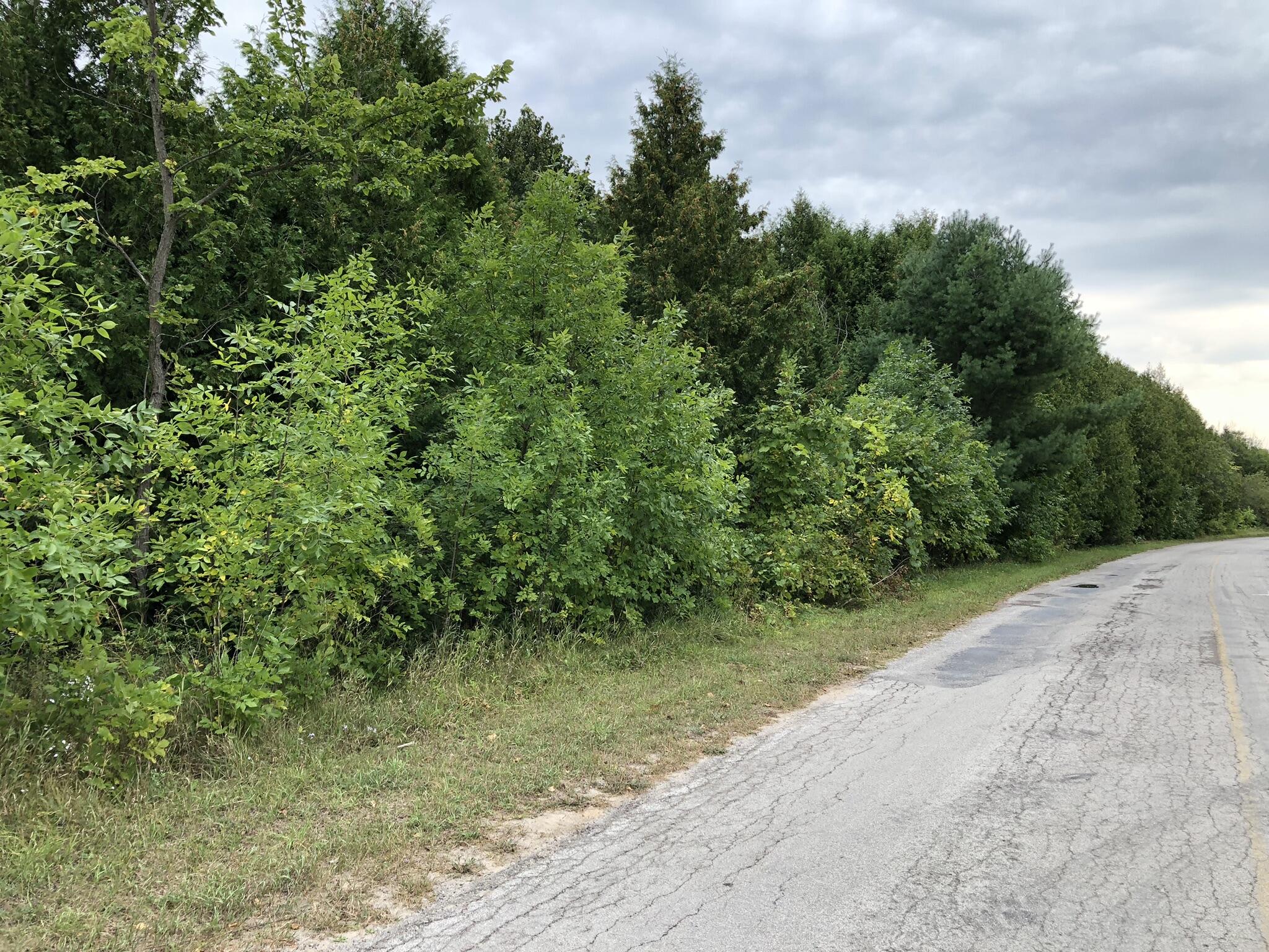 Bluffs Highway, 40 ACRES