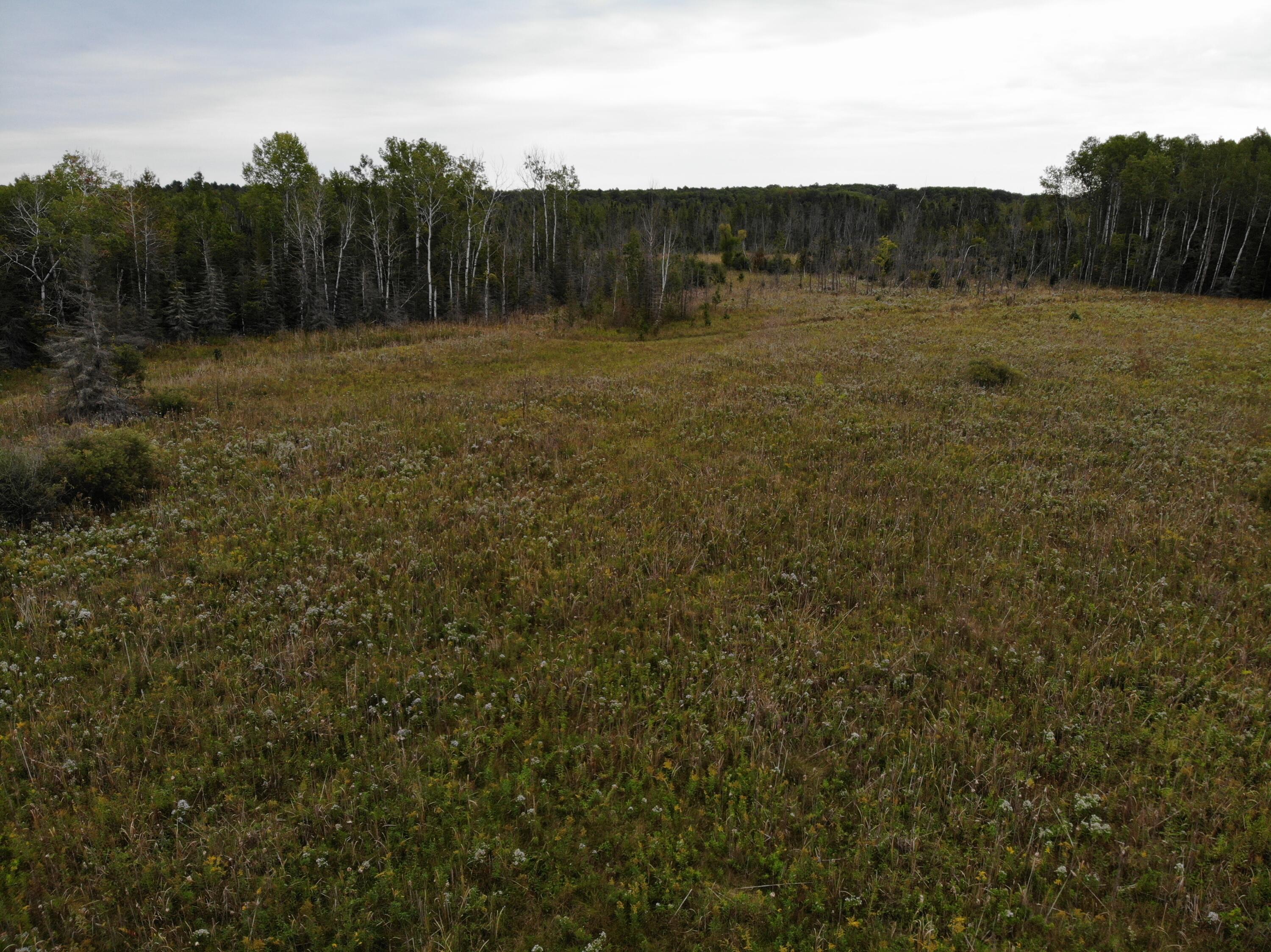 Bluffs Highway, 40 ACRES