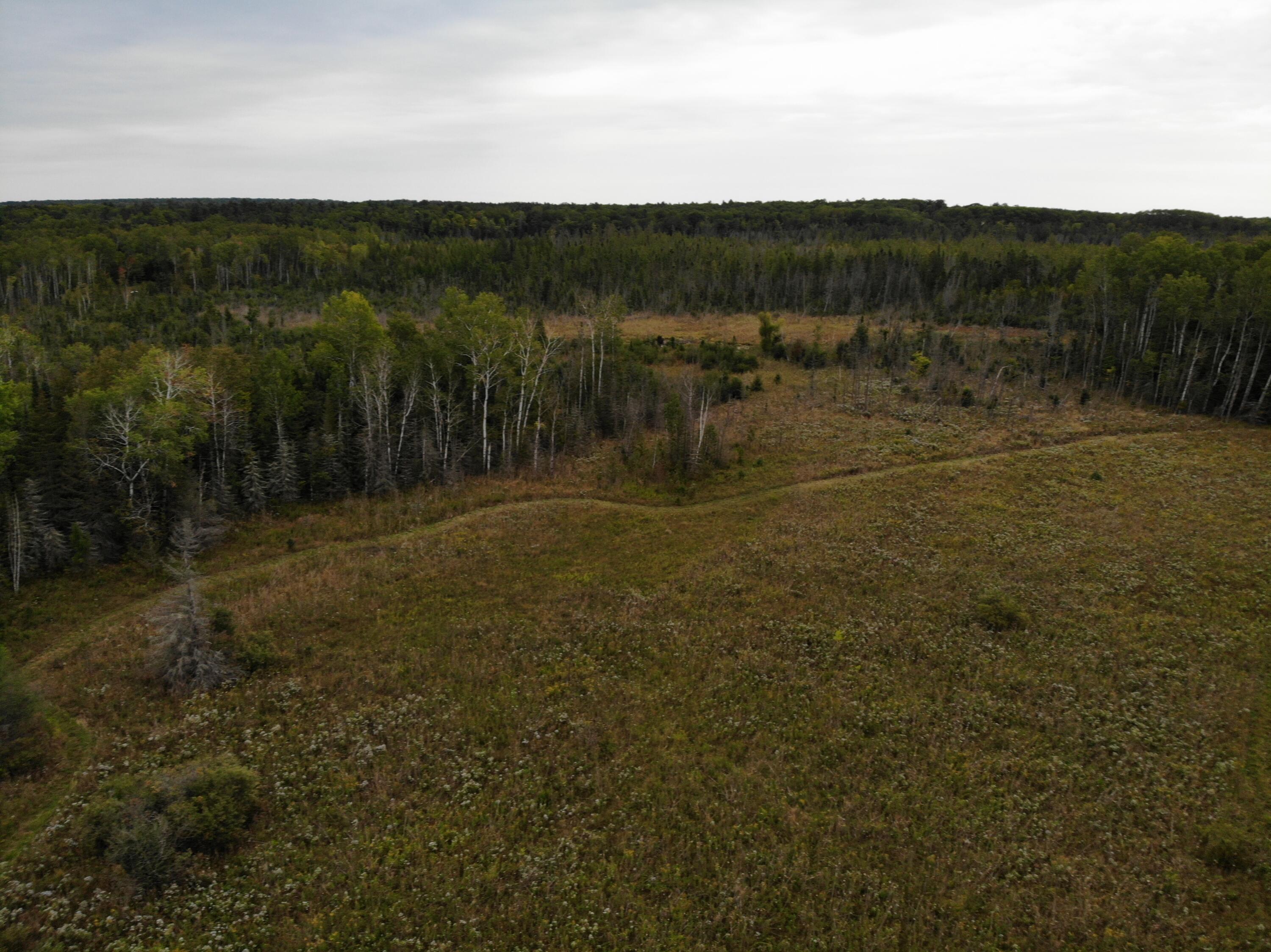 Bluffs Highway, 40 ACRES
