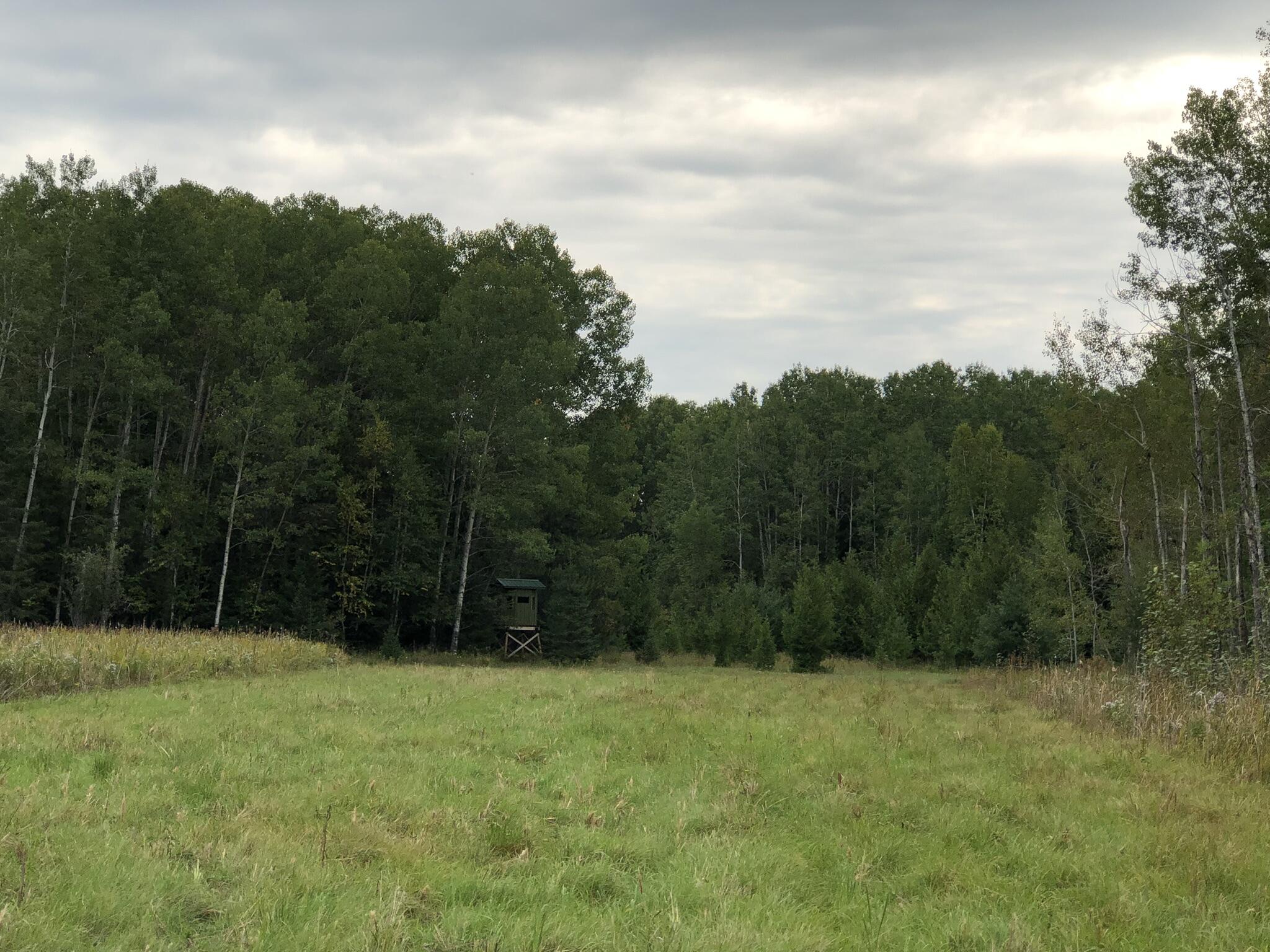 Bluffs Highway, 40 ACRES