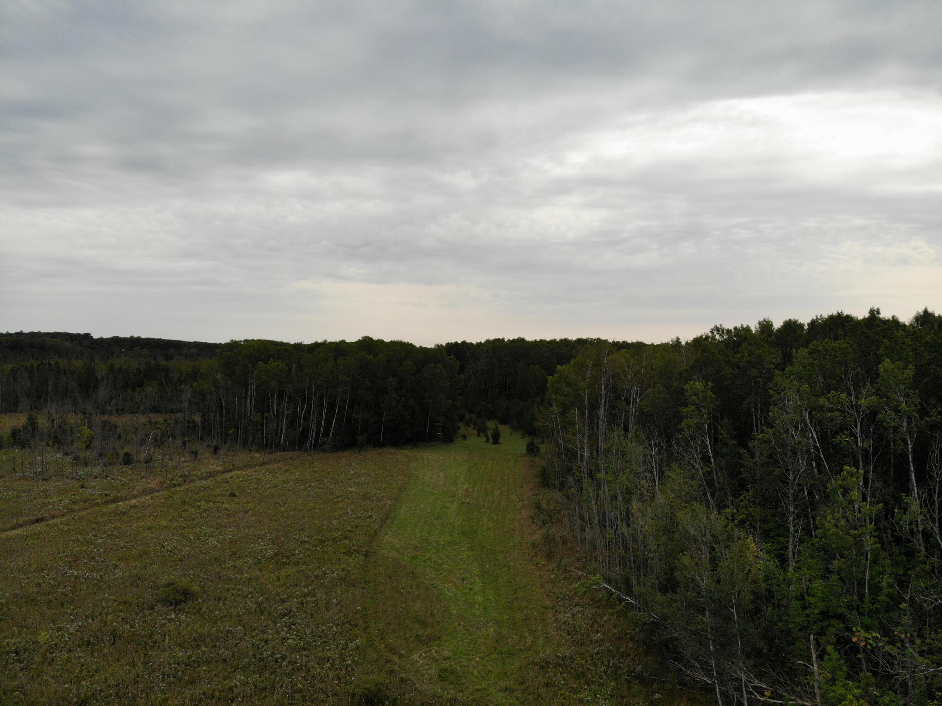 Bluffs Highway, 40 ACRES