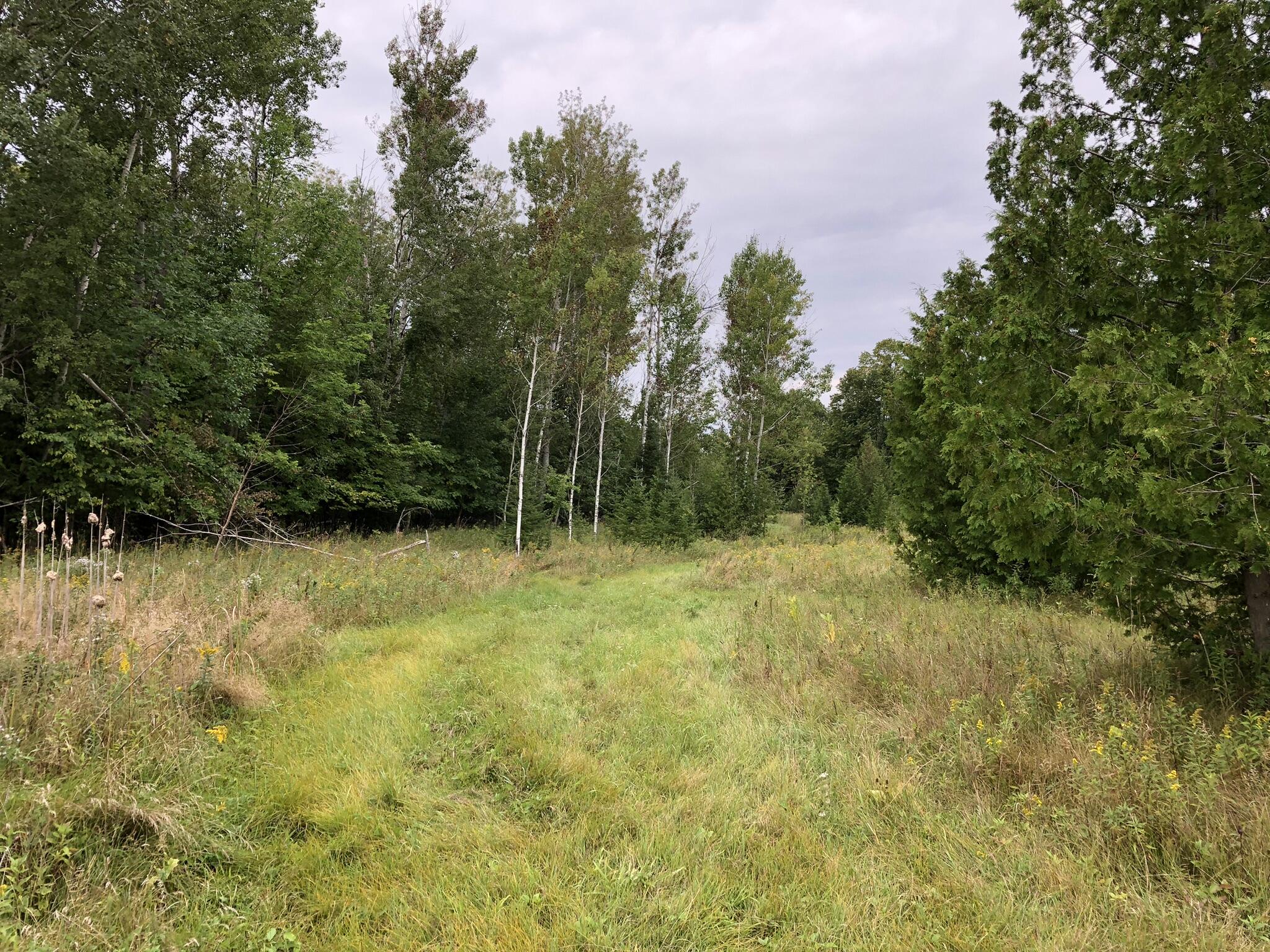 Bluffs Highway, 40 ACRES