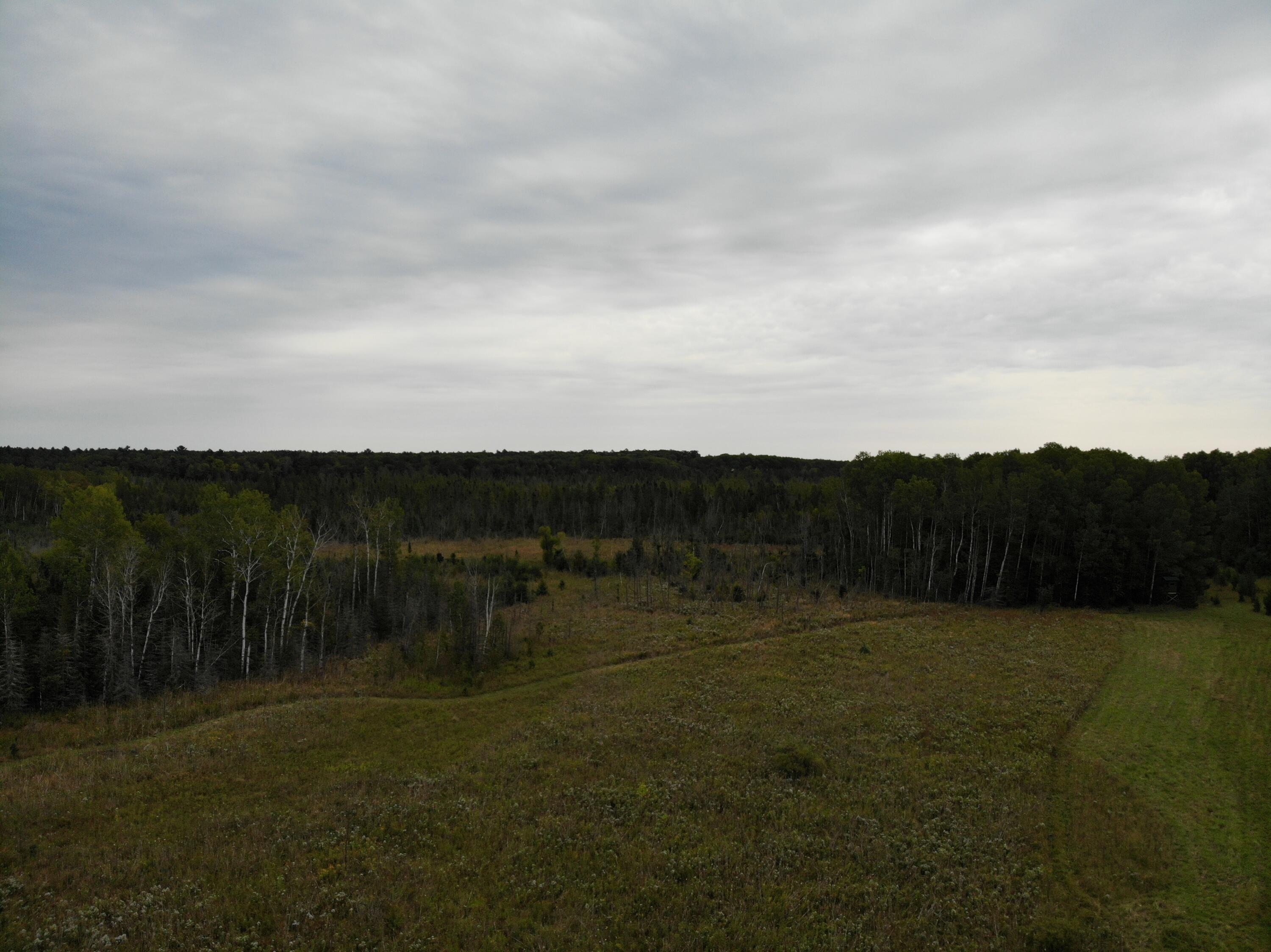Bluffs Highway, 40 ACRES