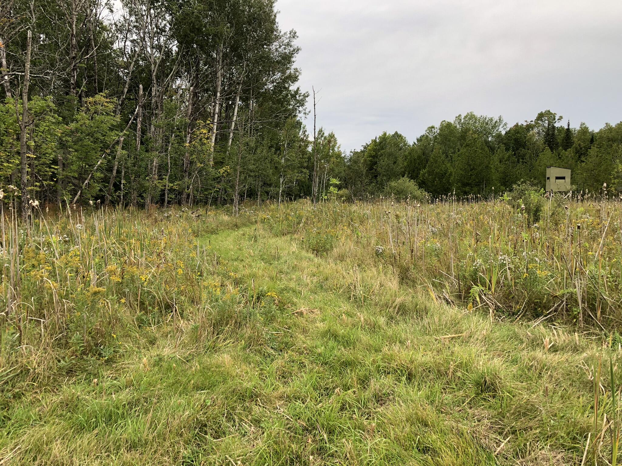 Bluffs Highway, 40 ACRES