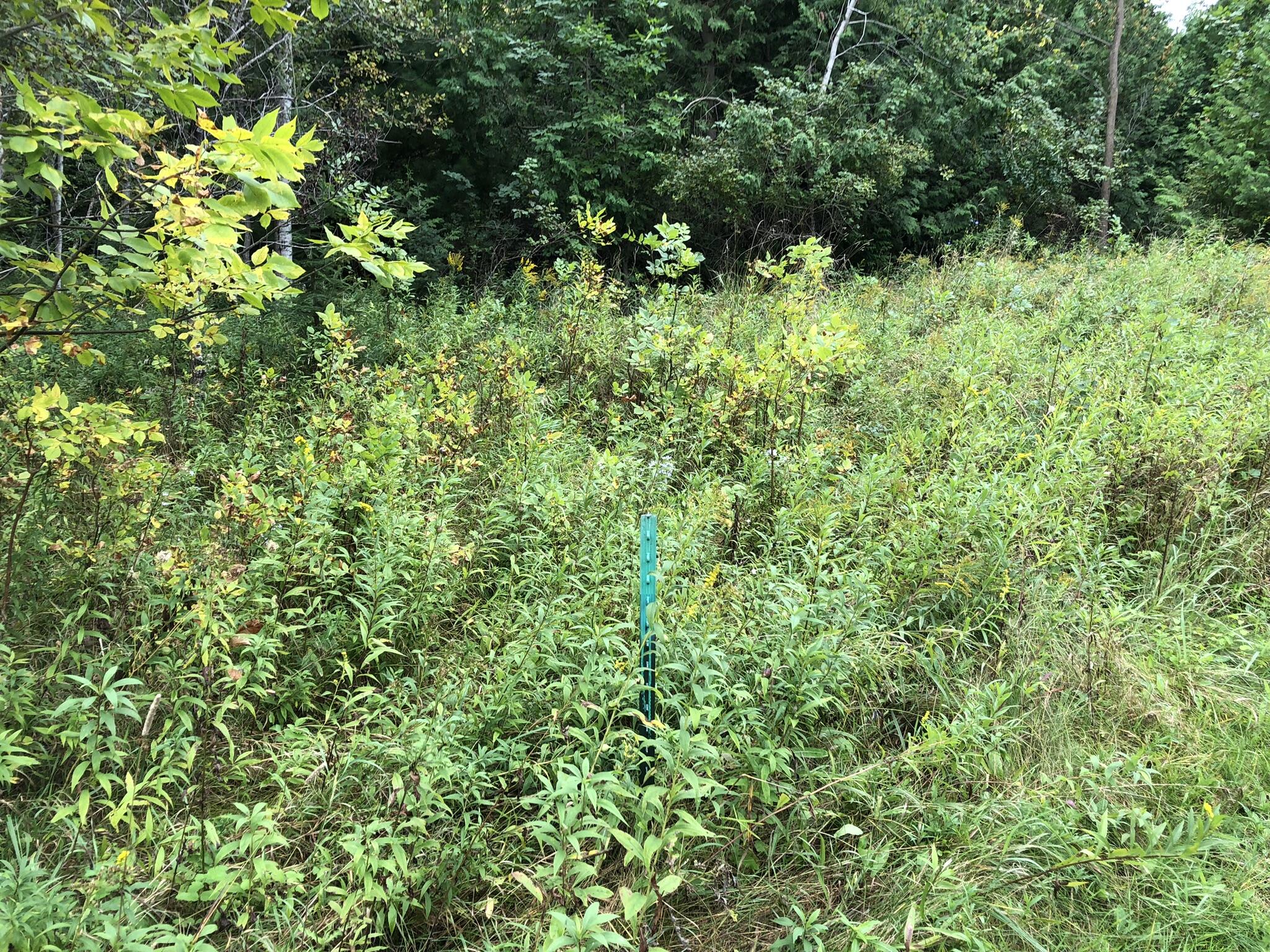 Bluffs Highway, 40 ACRES