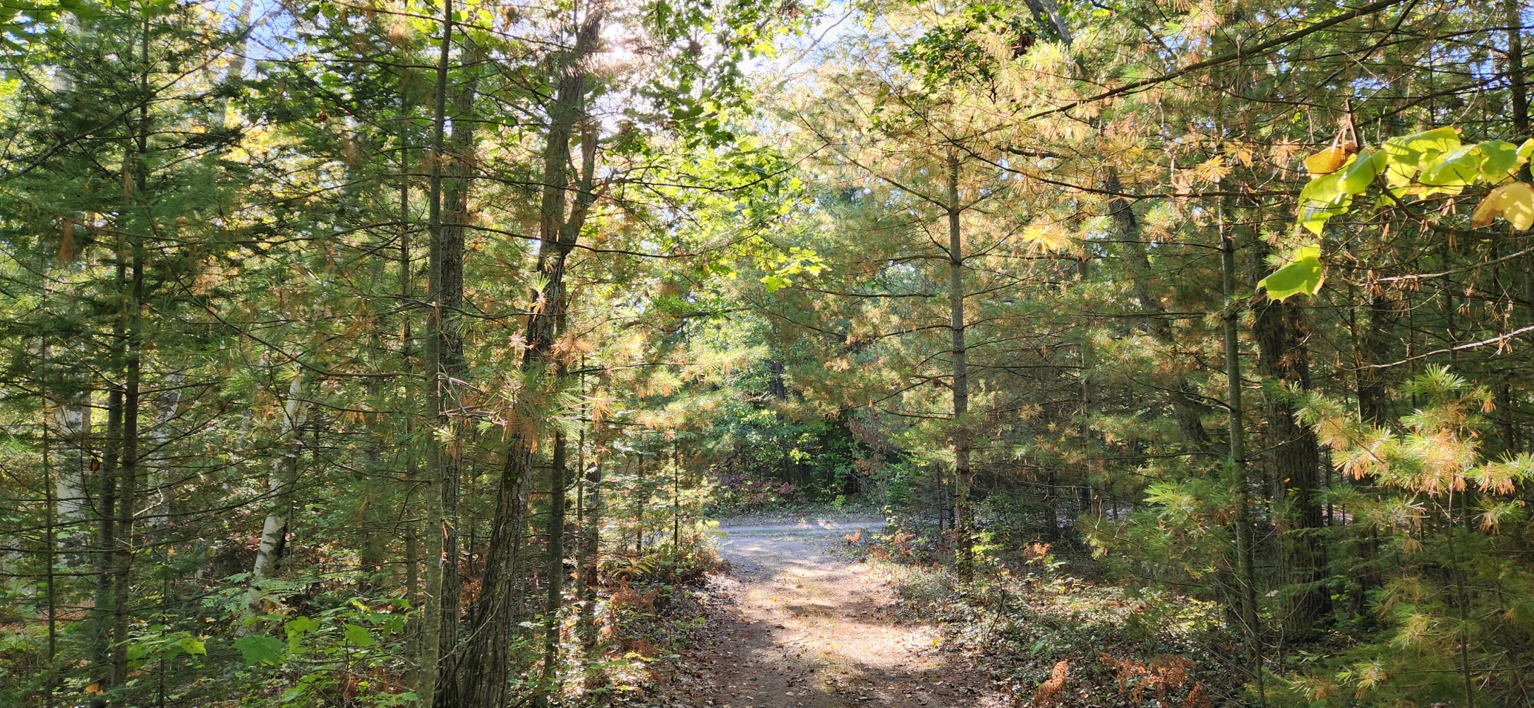 10840 Huron Trail, Lot 63