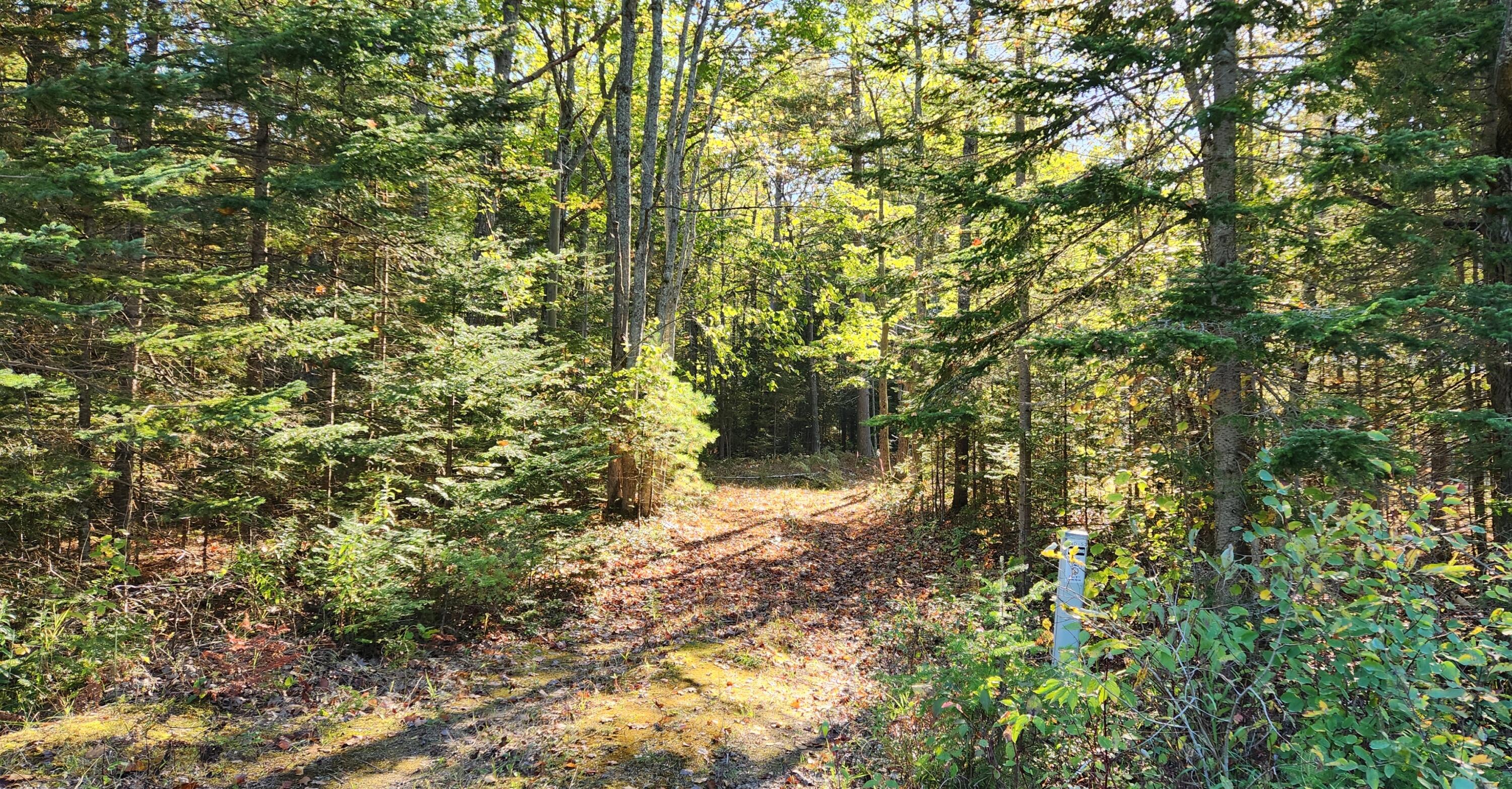 10840 Huron Trail, Lot 63