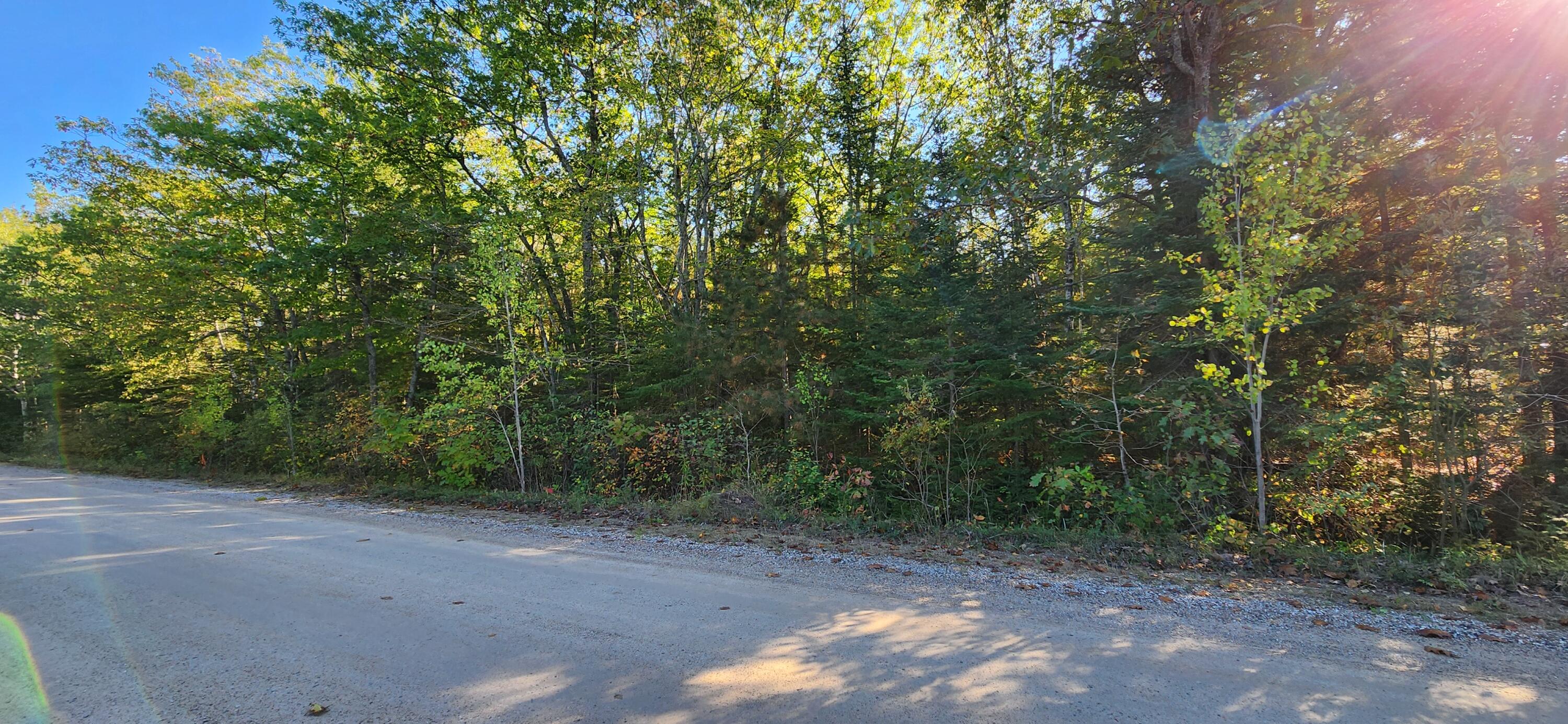 10840 Huron Trail, Lot 63