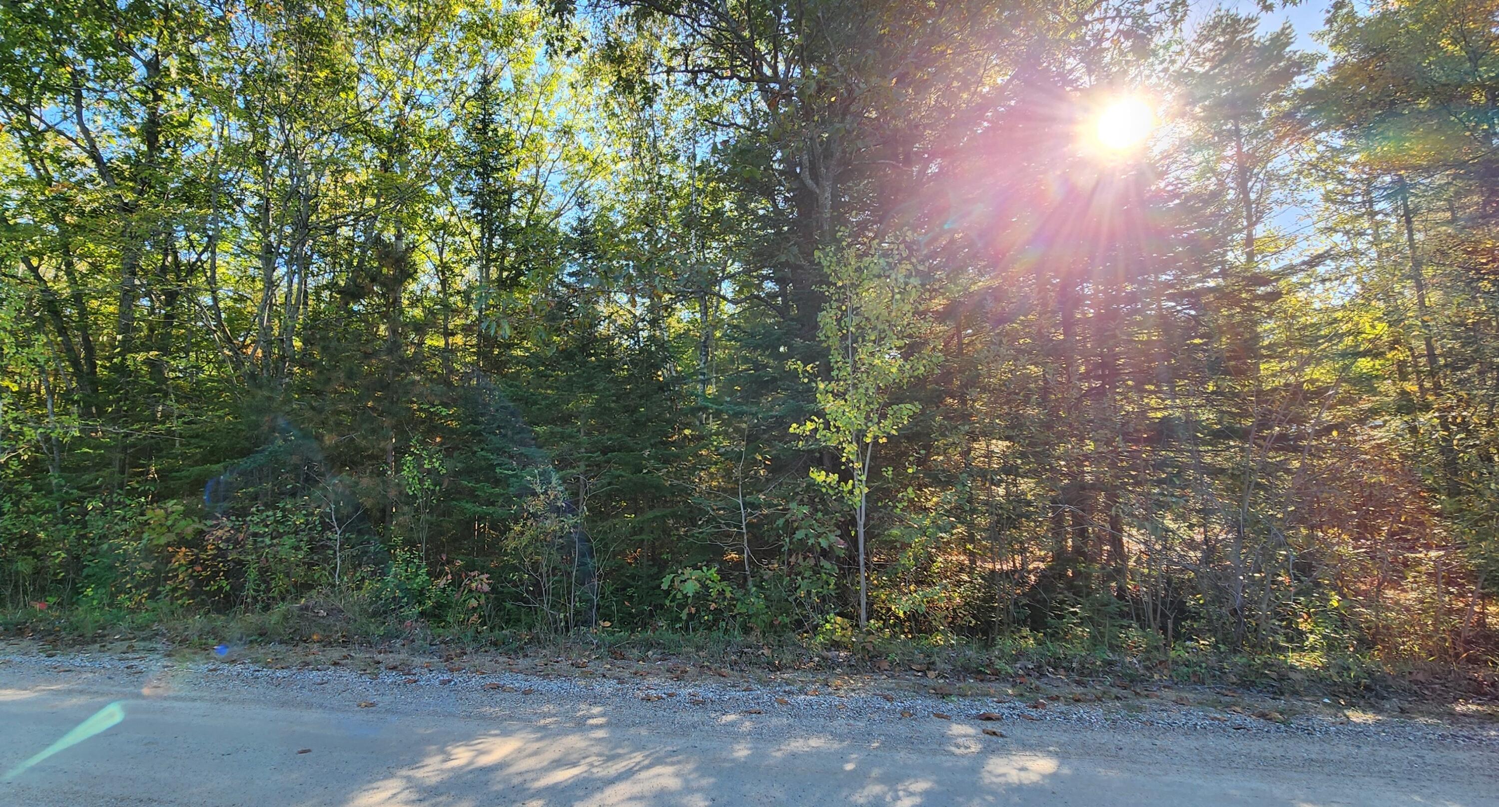10840 Huron Trail, Lot 63