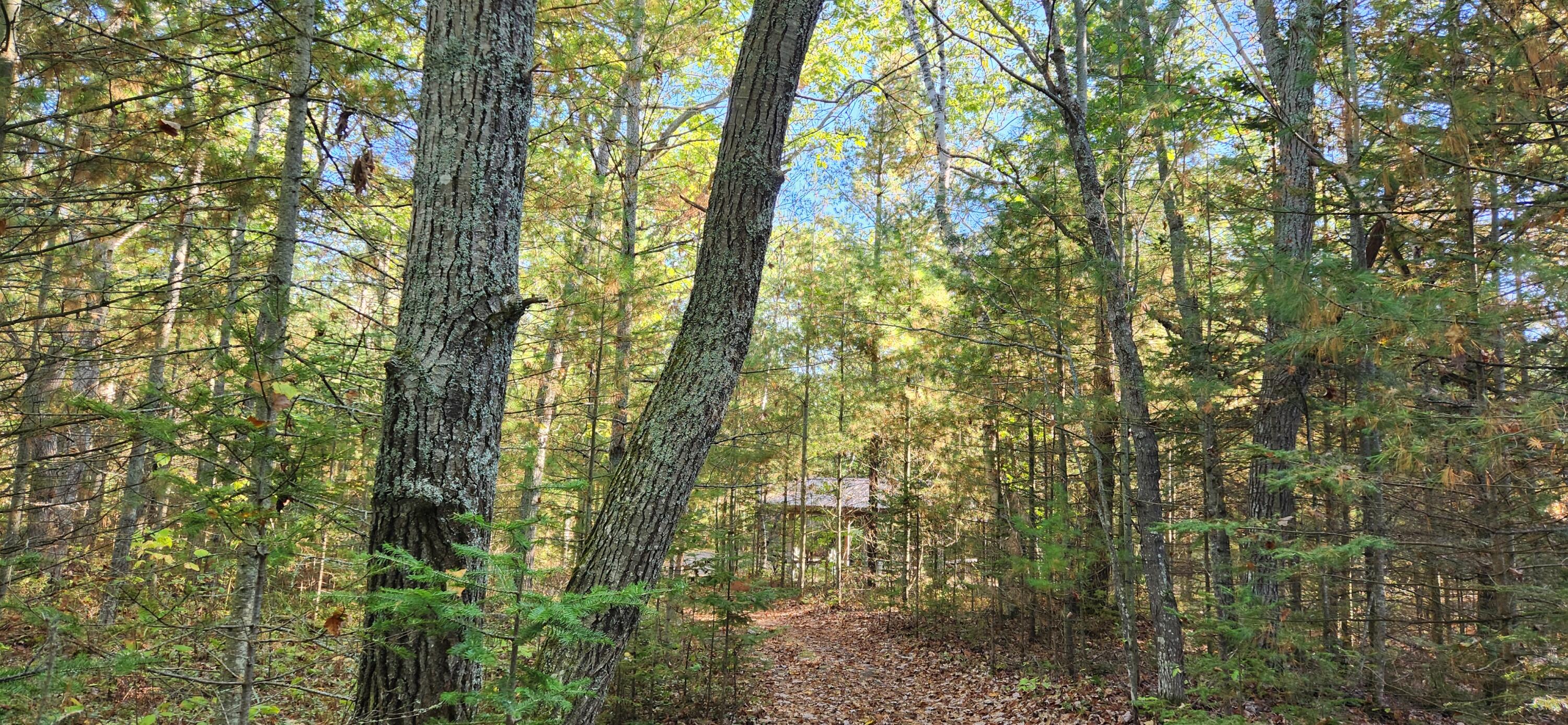 10840 Huron Trail, Lot 63