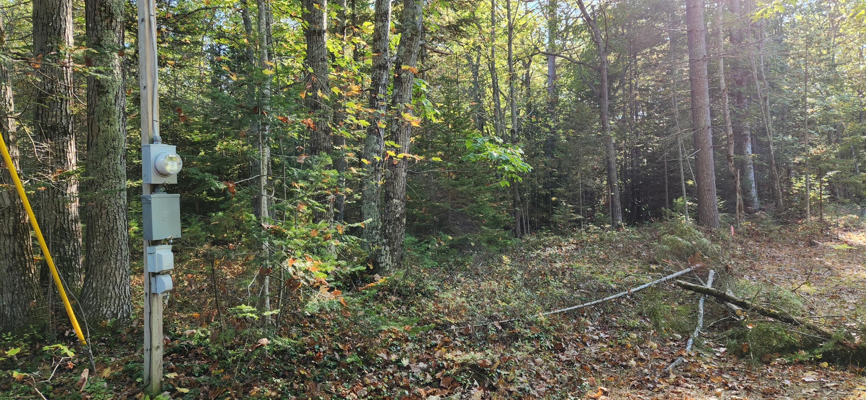 10840 Huron Trail, Lot 63