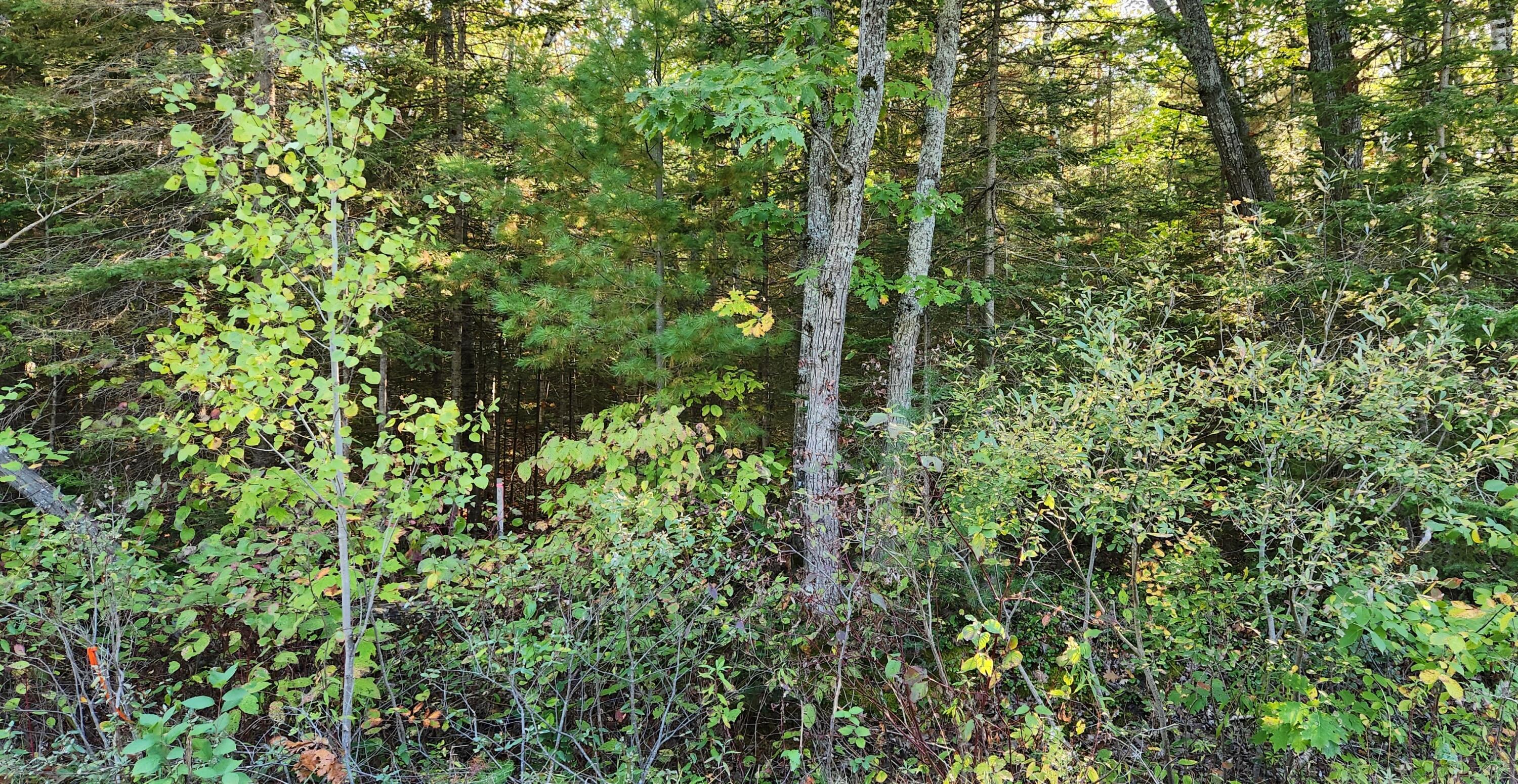 10840 Huron Trail, Lot 63