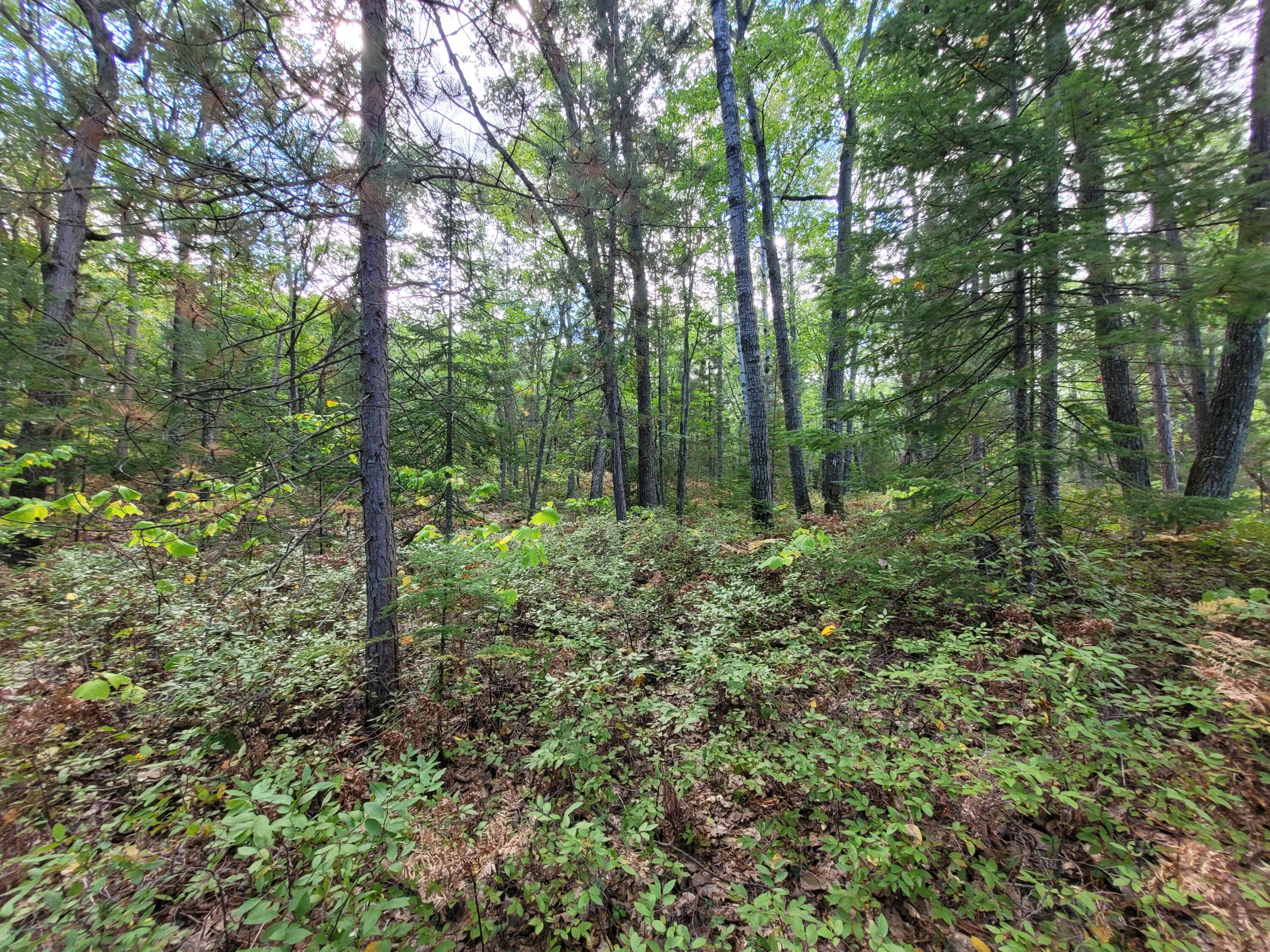 Acorn Ridge Highway, 1.27 Acre