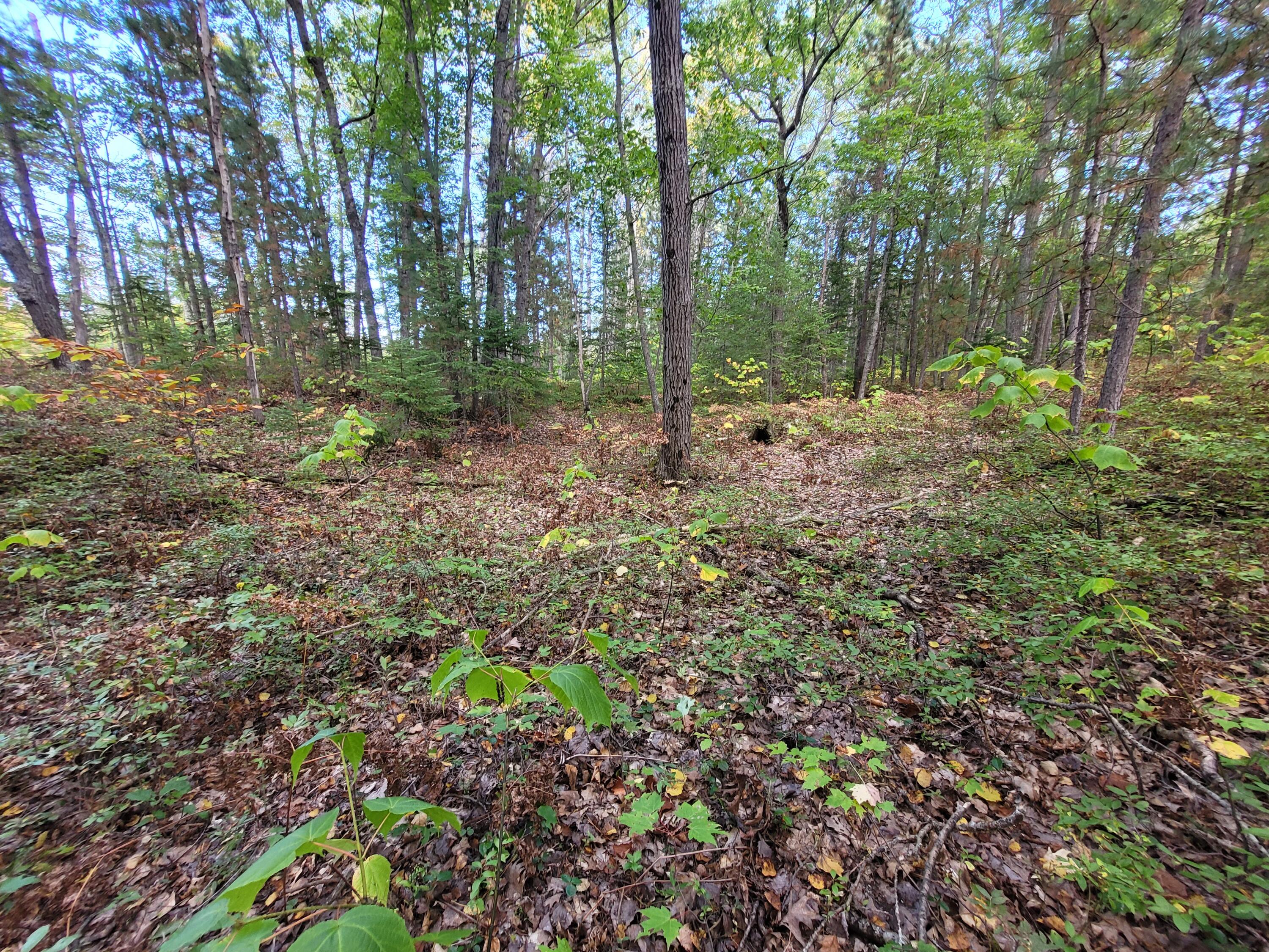 Acorn Ridge Highway, 1.27 Acre