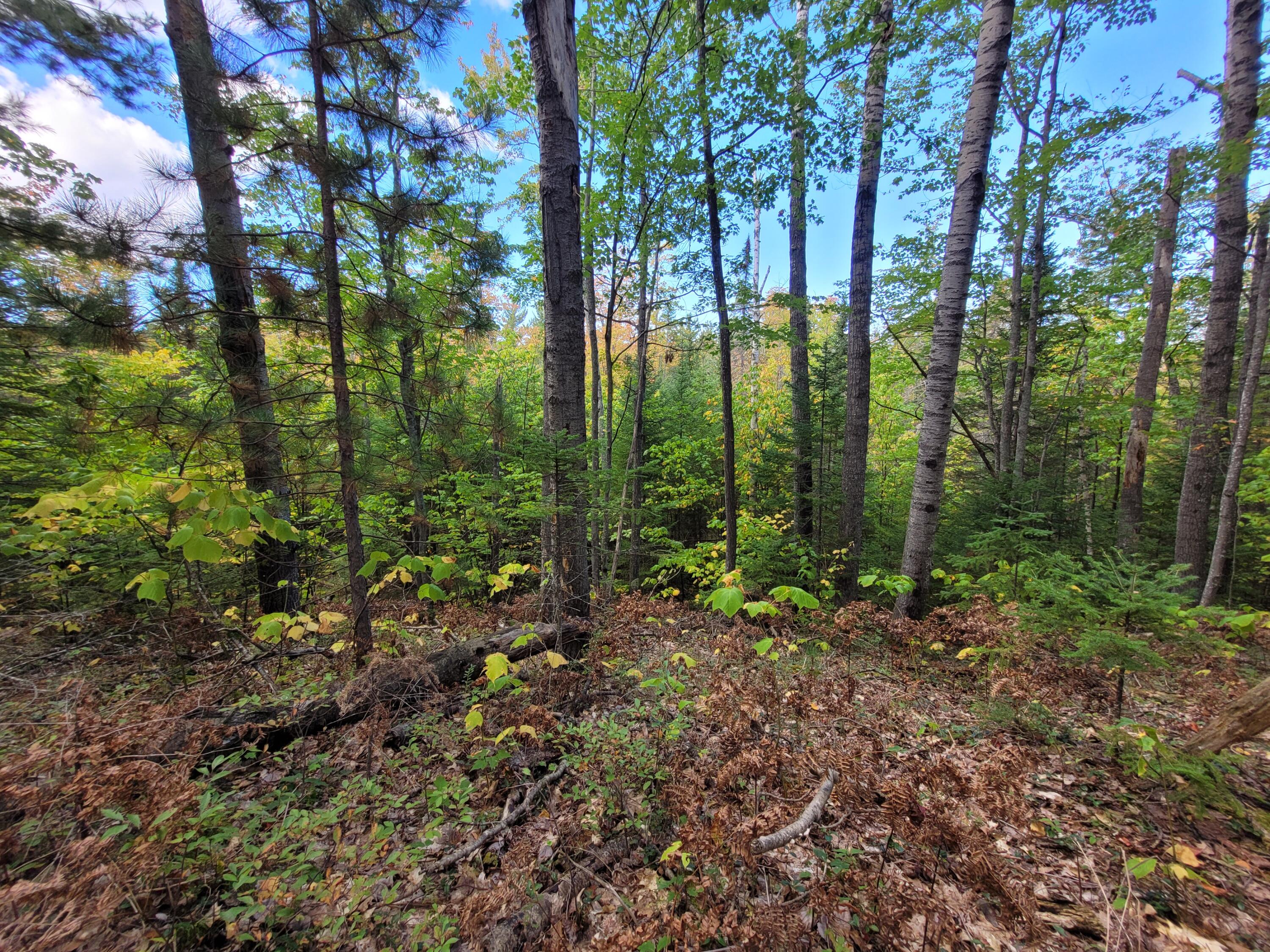 Acorn Ridge Highway, 1.27 Acre