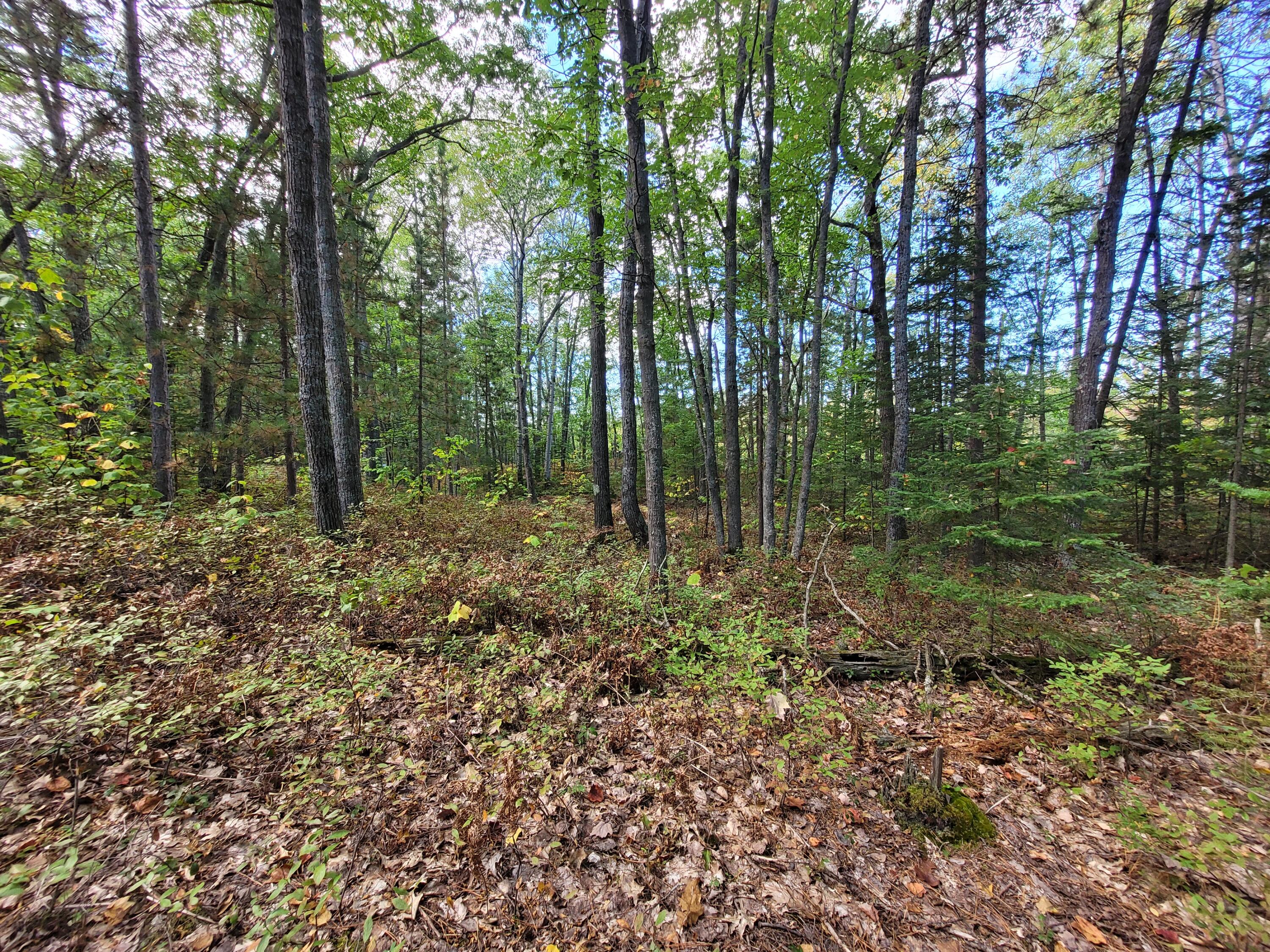 Acorn Ridge Highway, 1.27 Acre