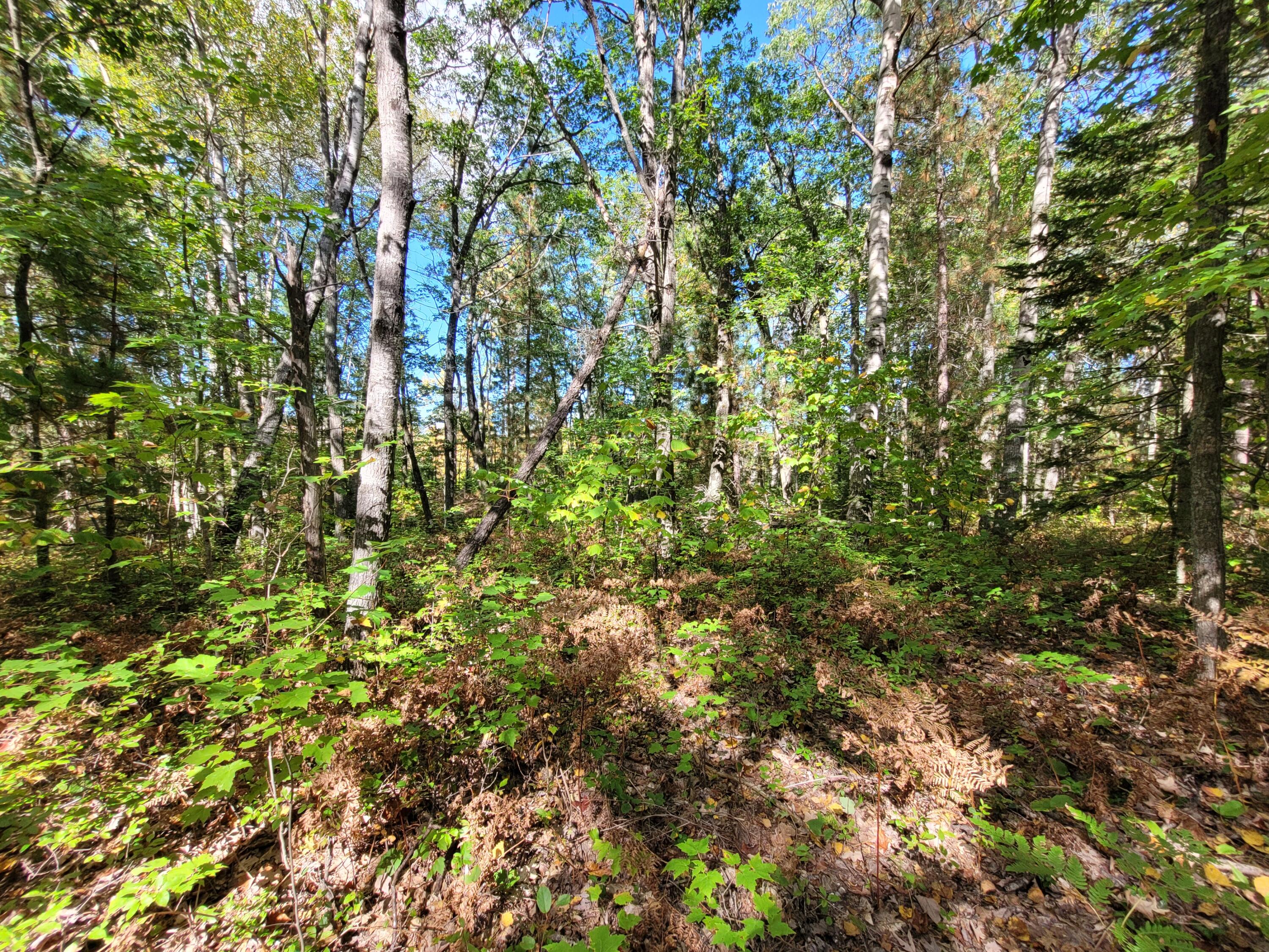 Acorn Ridge Highway, 1.27 Acre