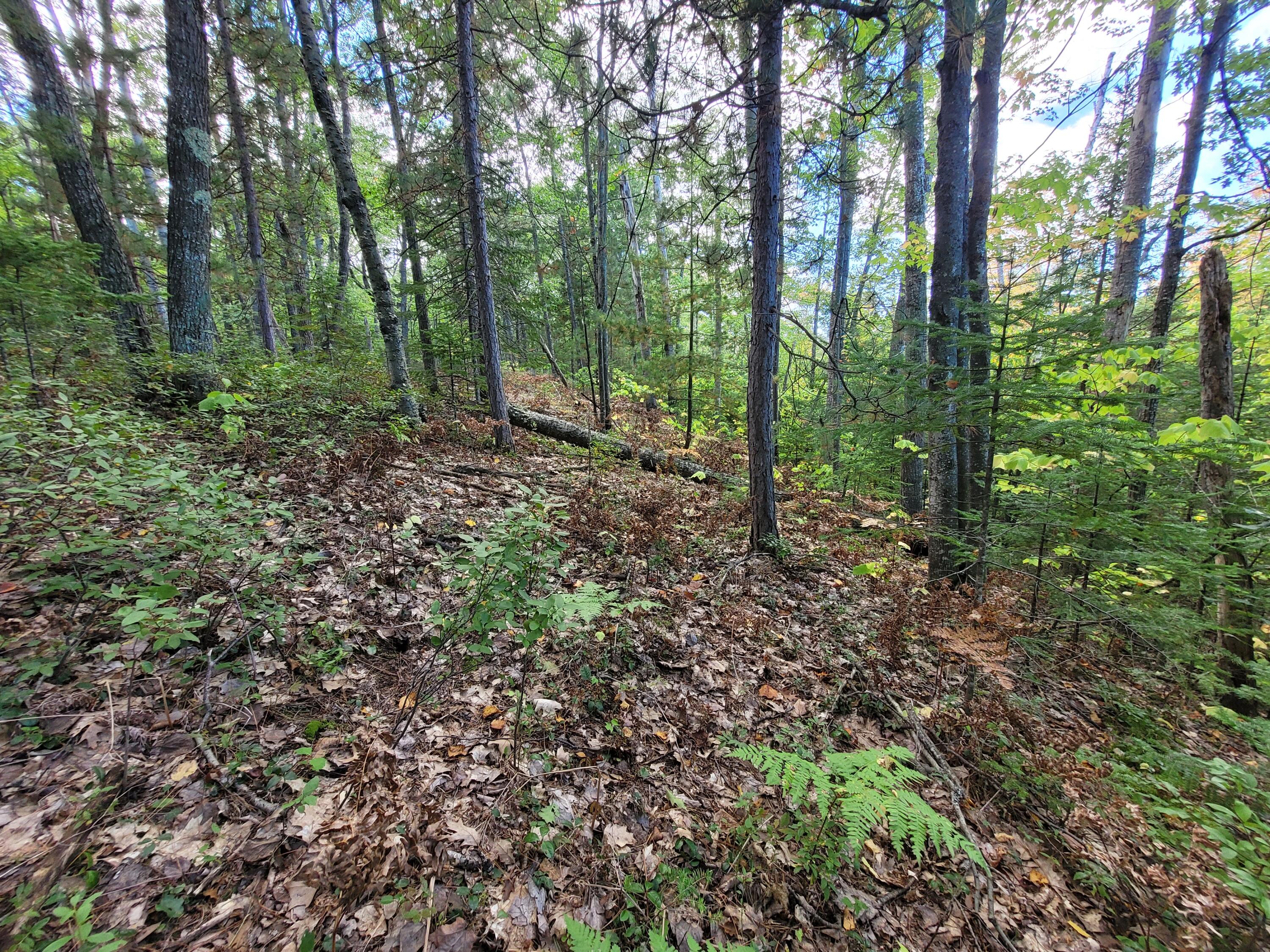 Acorn Ridge Highway, 1.27 Acre