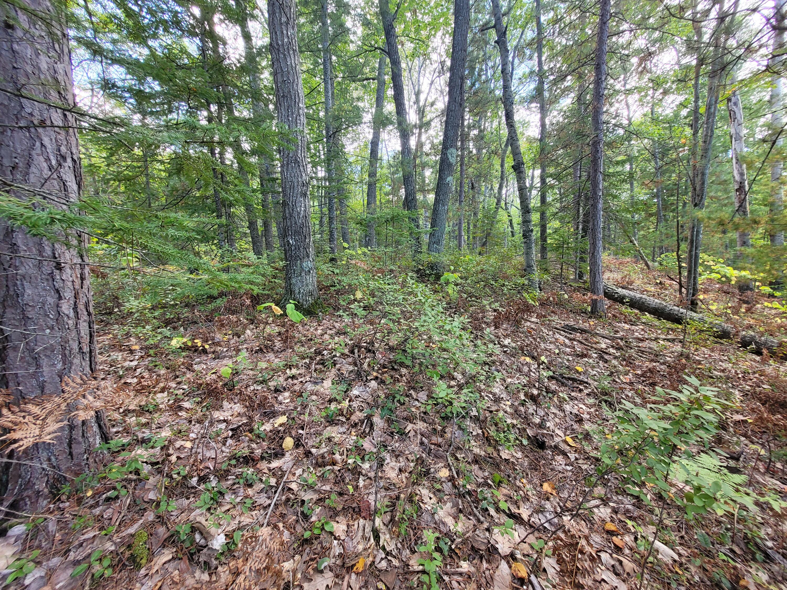 Acorn Ridge Highway, 1.27 Acre