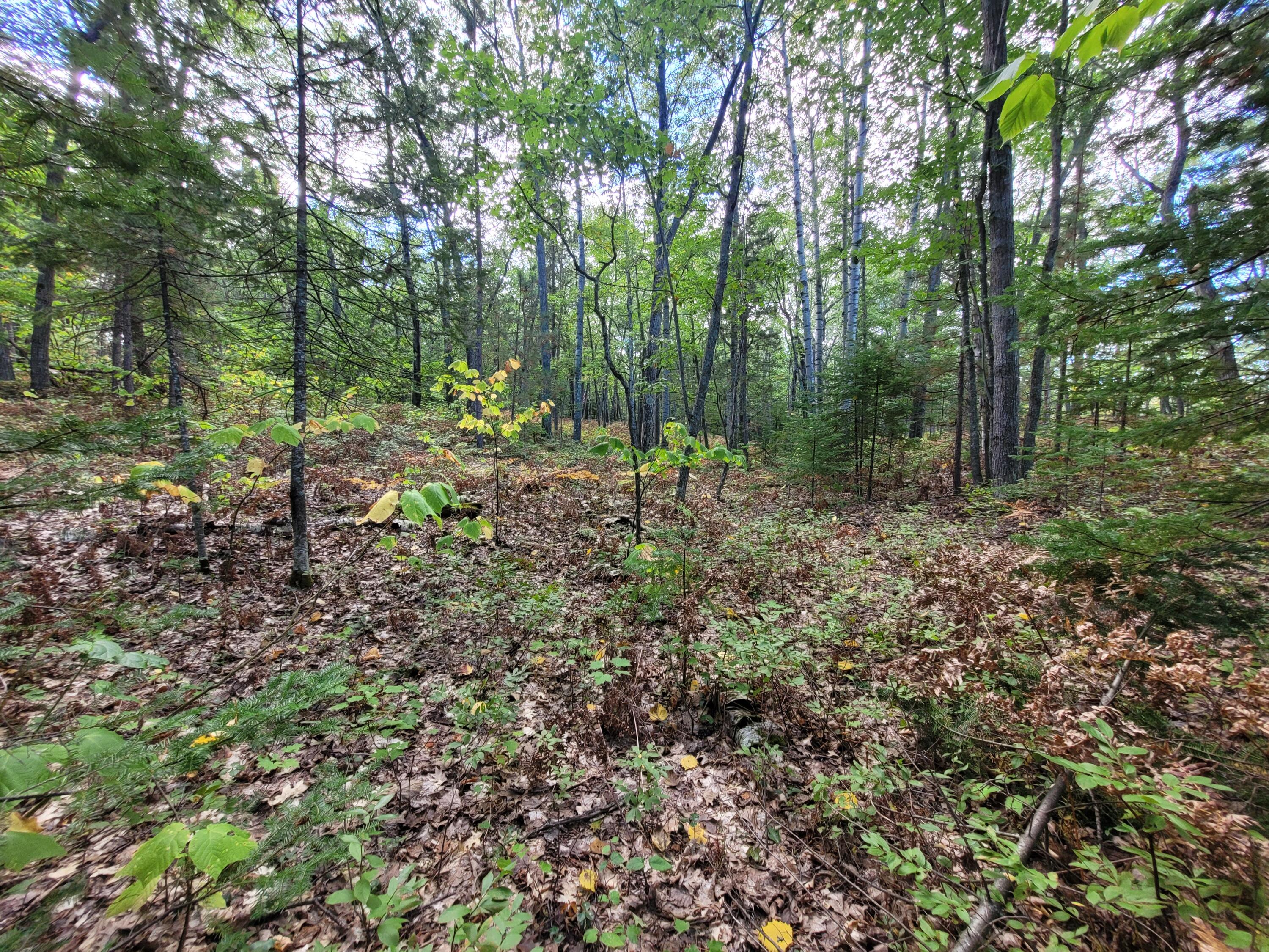 Acorn Ridge Highway, 1.27 Acre