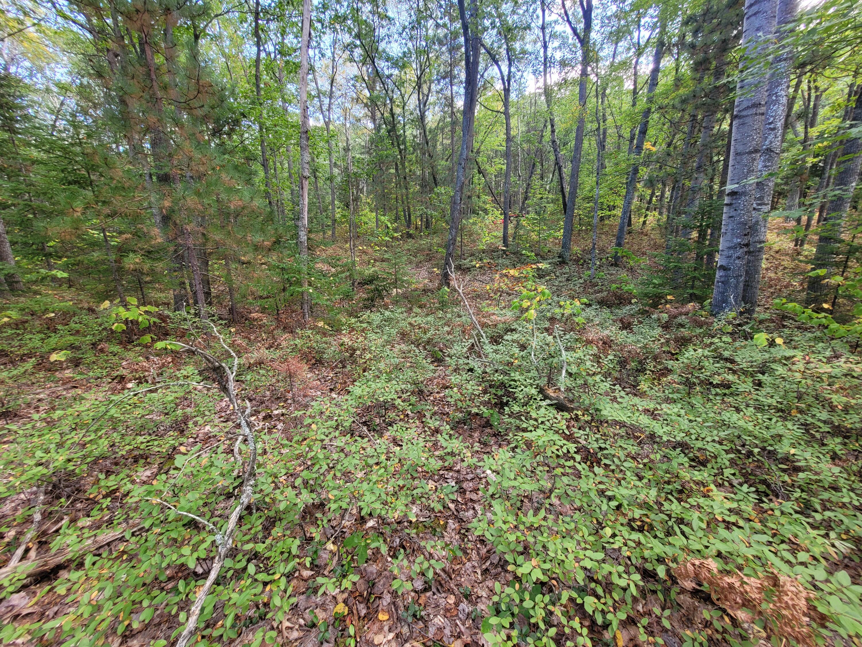 Acorn Ridge Highway, 1.27 Acre