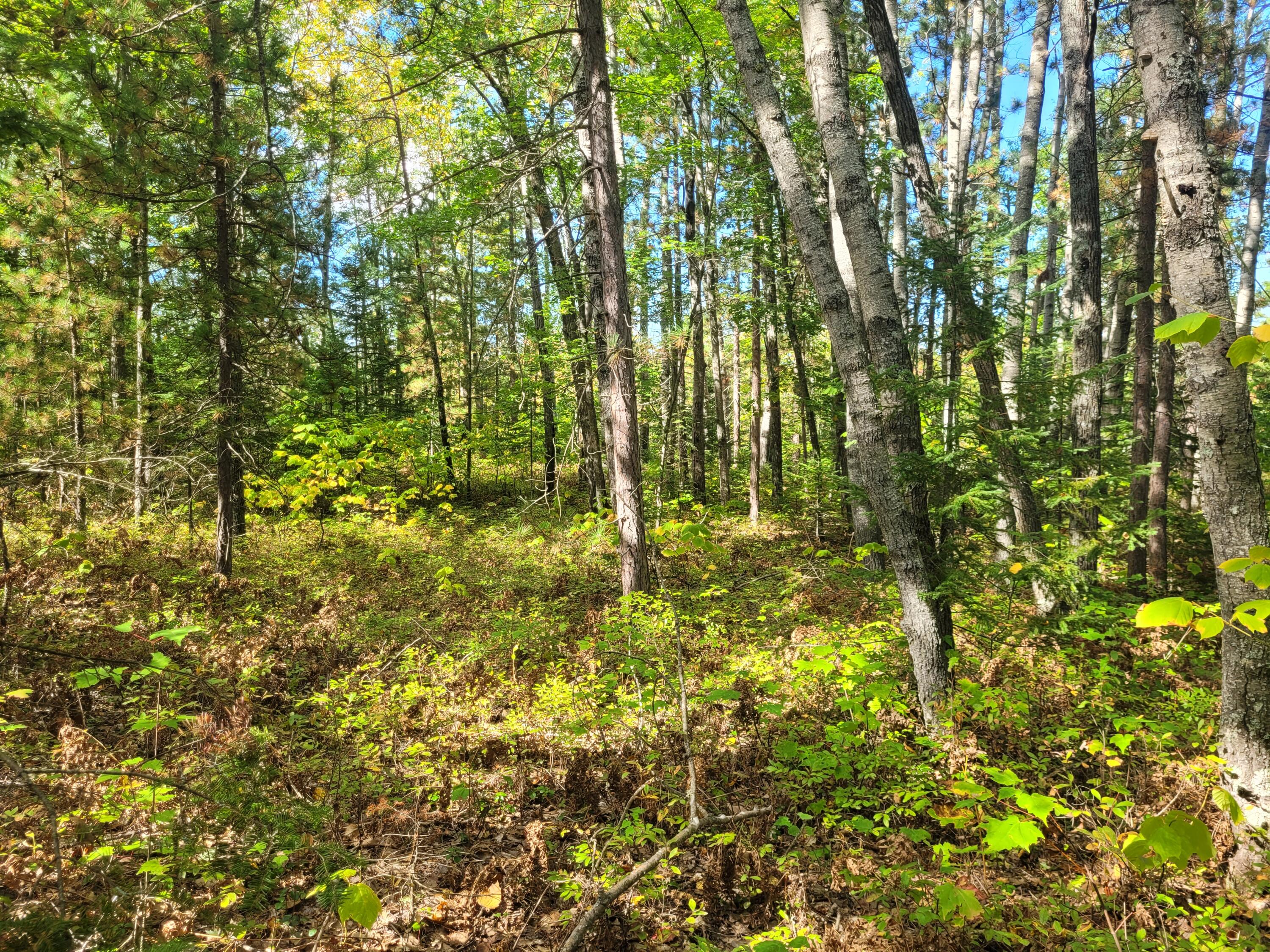 Acorn Ridge Highway, 1.27 Acre