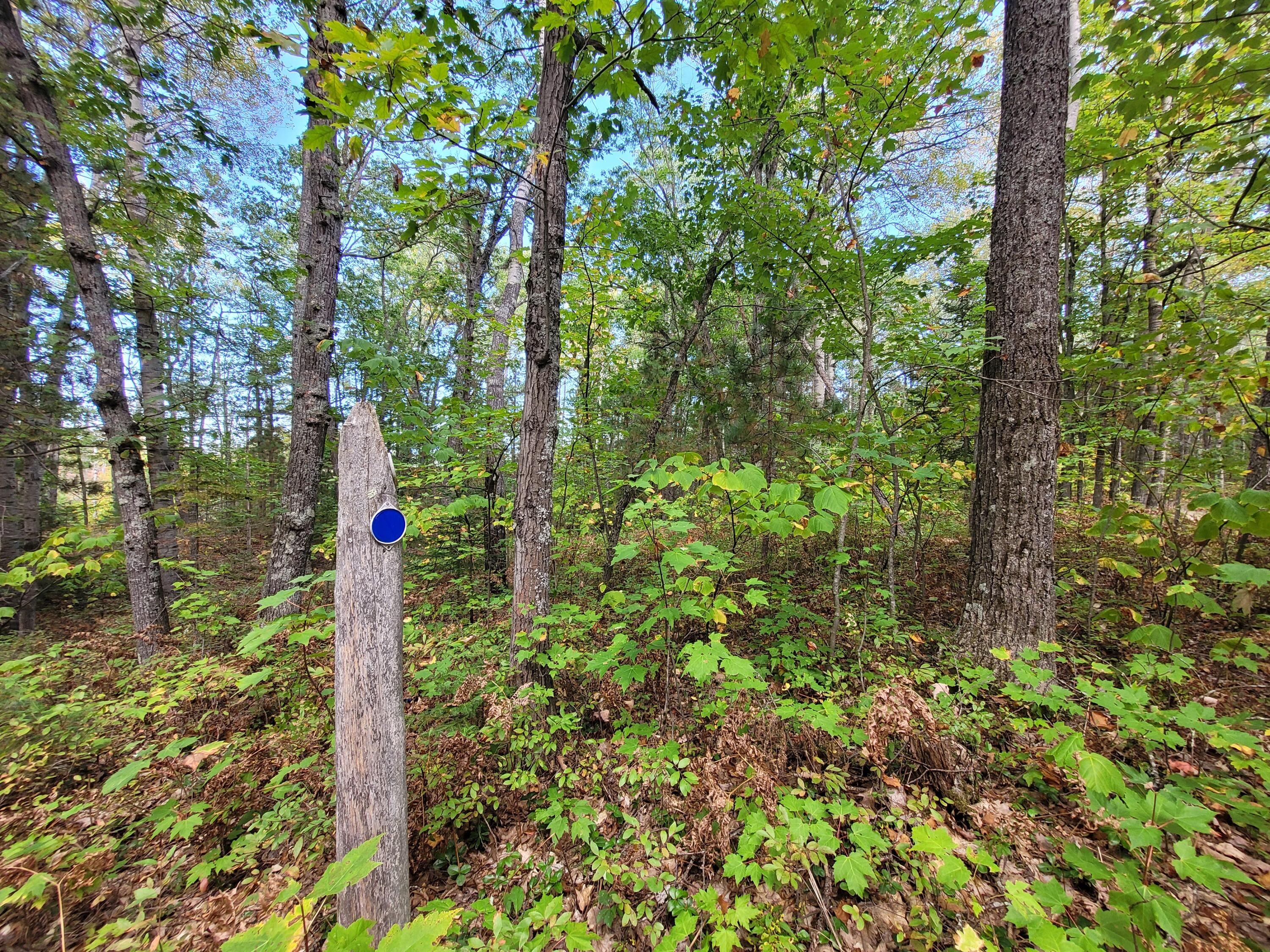 Acorn Ridge Highway, 1.27 Acre