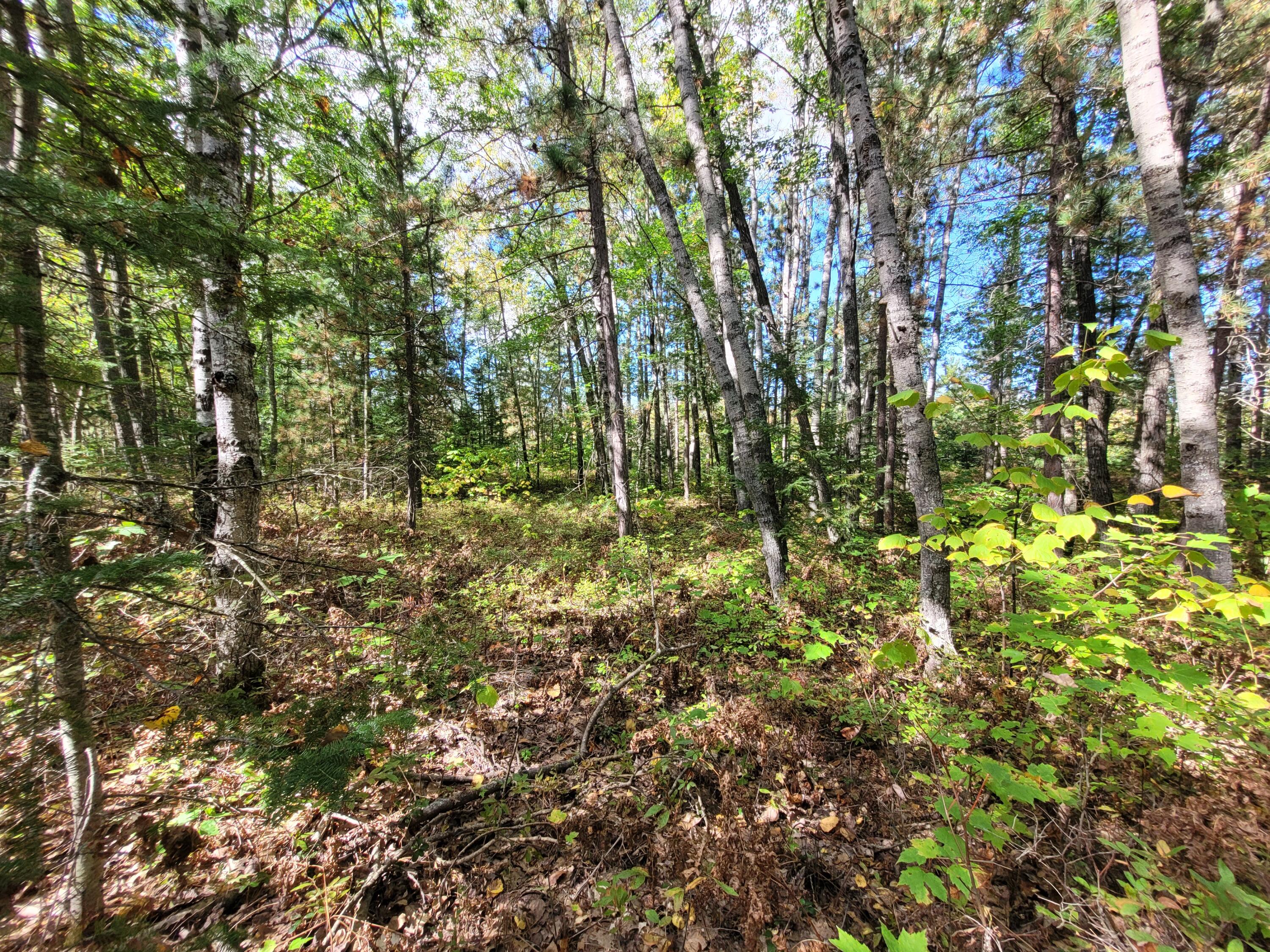 Acorn Ridge Highway, 1.27 Acre