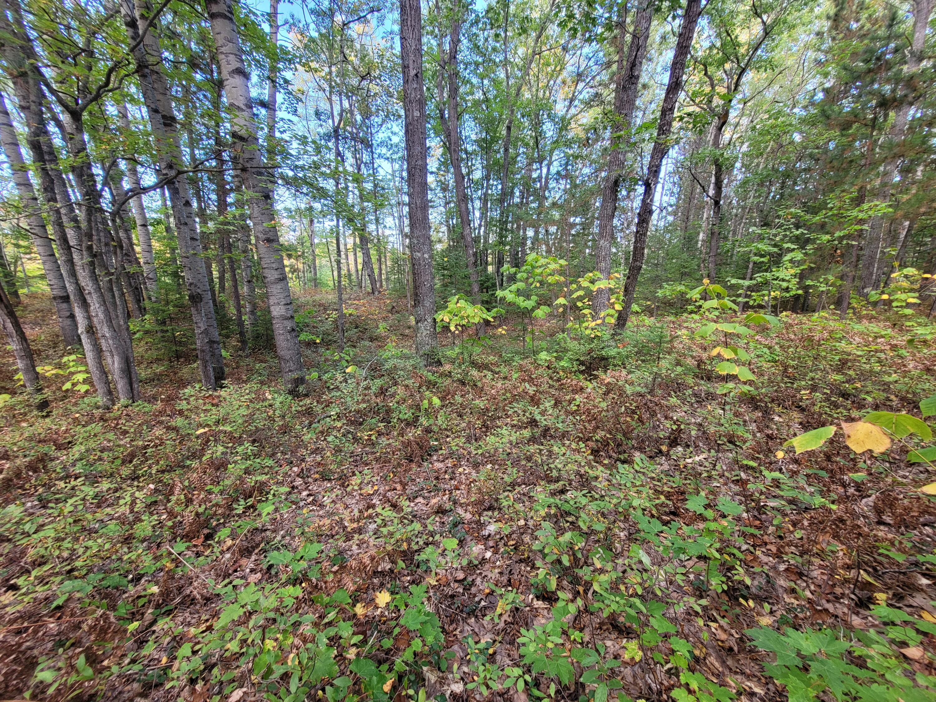 Acorn Ridge Highway, 1.27 Acre
