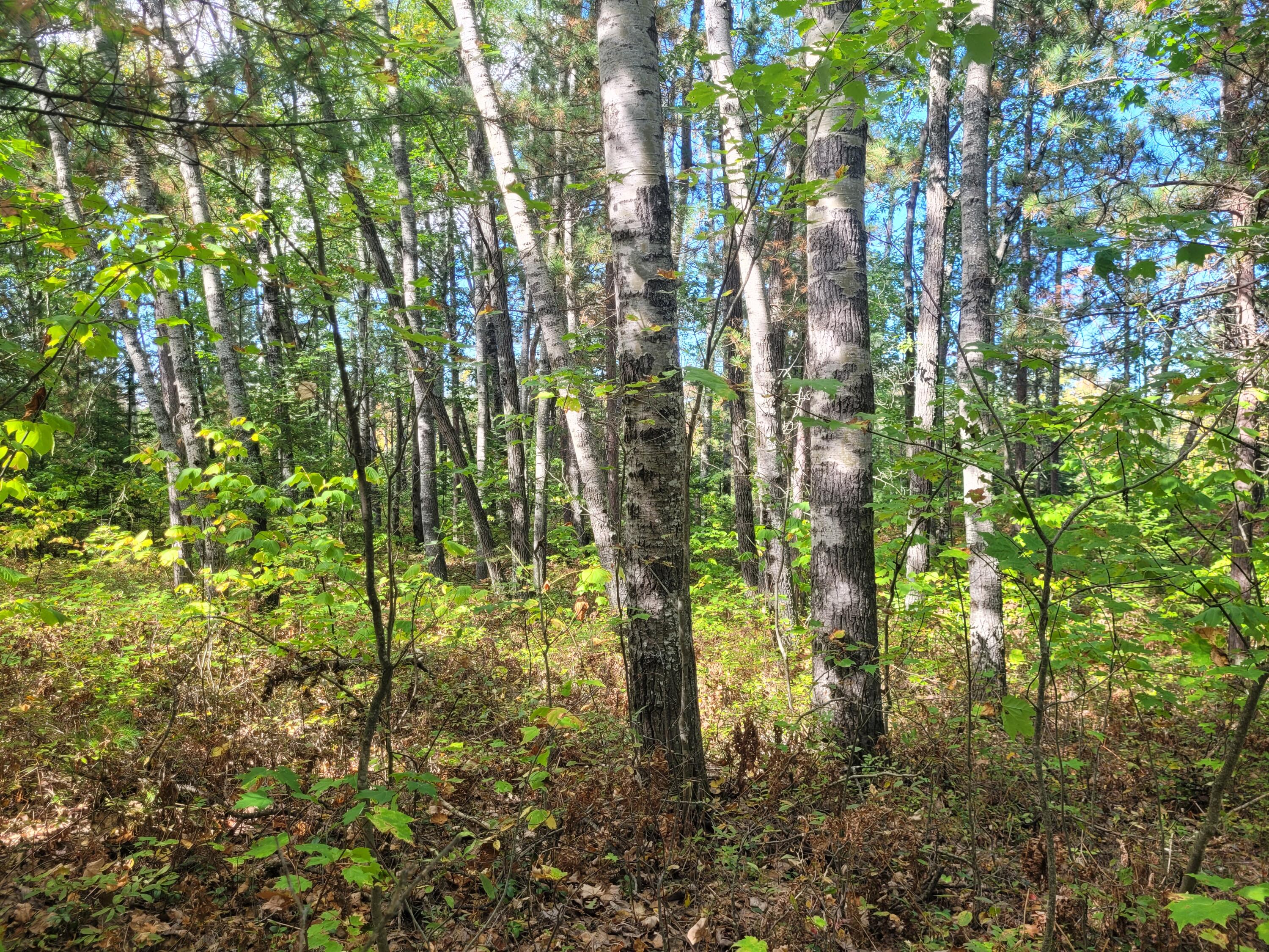 Acorn Ridge Highway, 1.27 Acre