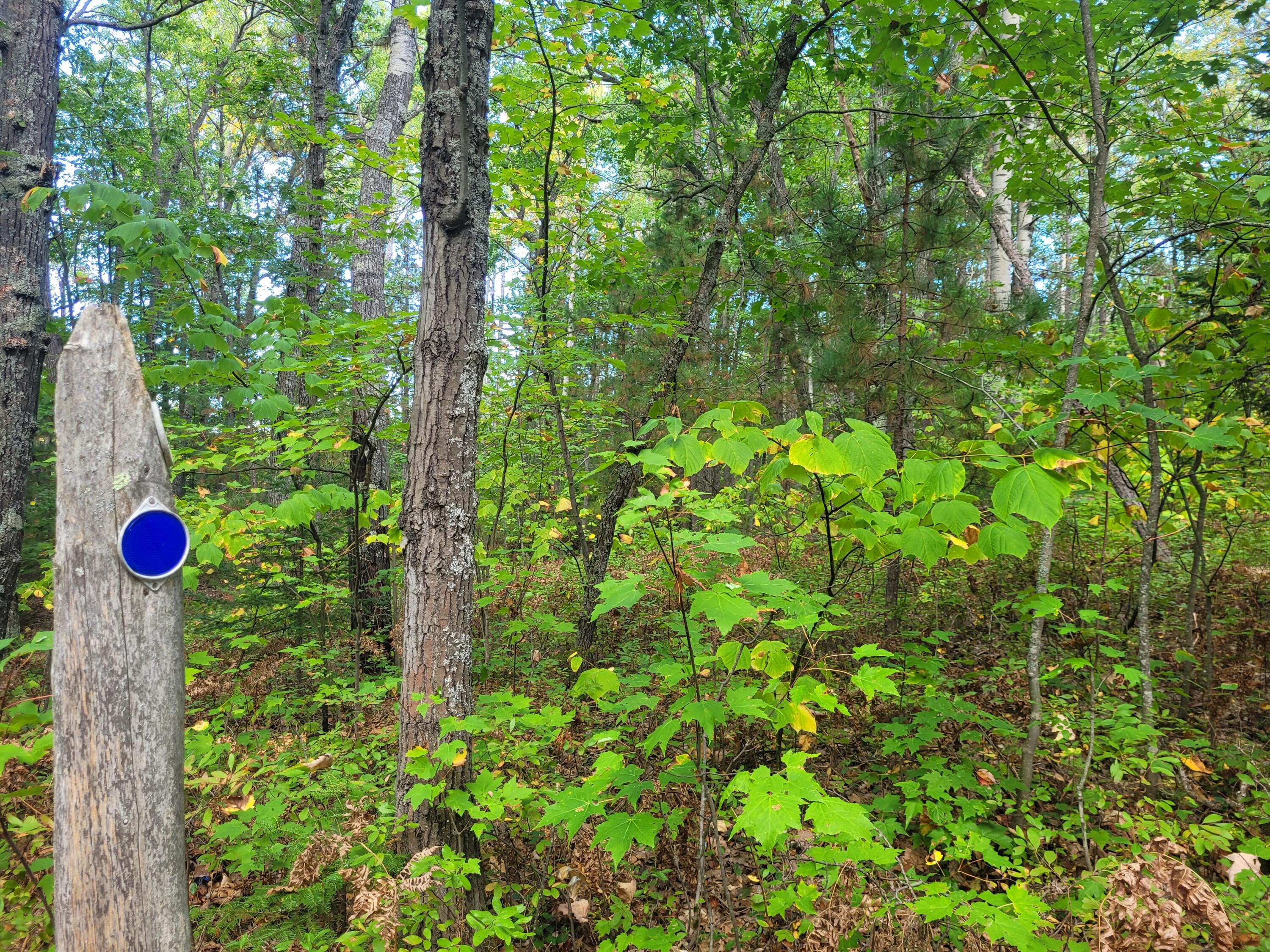 Acorn Ridge Highway, 1.27 Acre