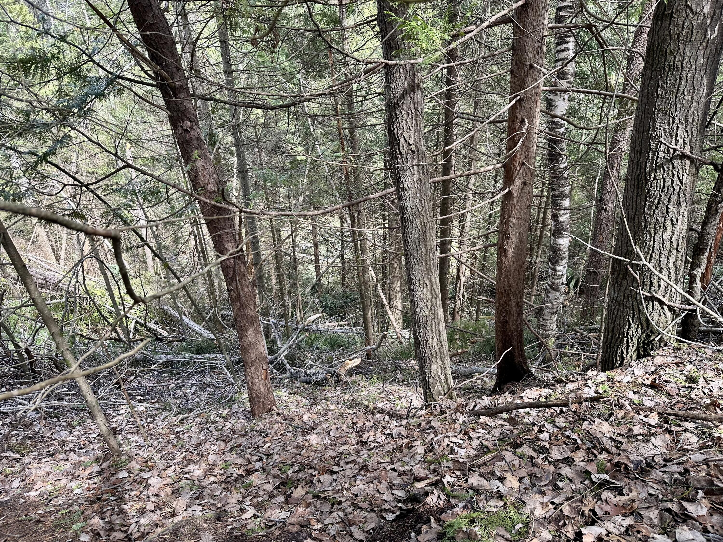 4409 Big Sky Trail, Lot #17