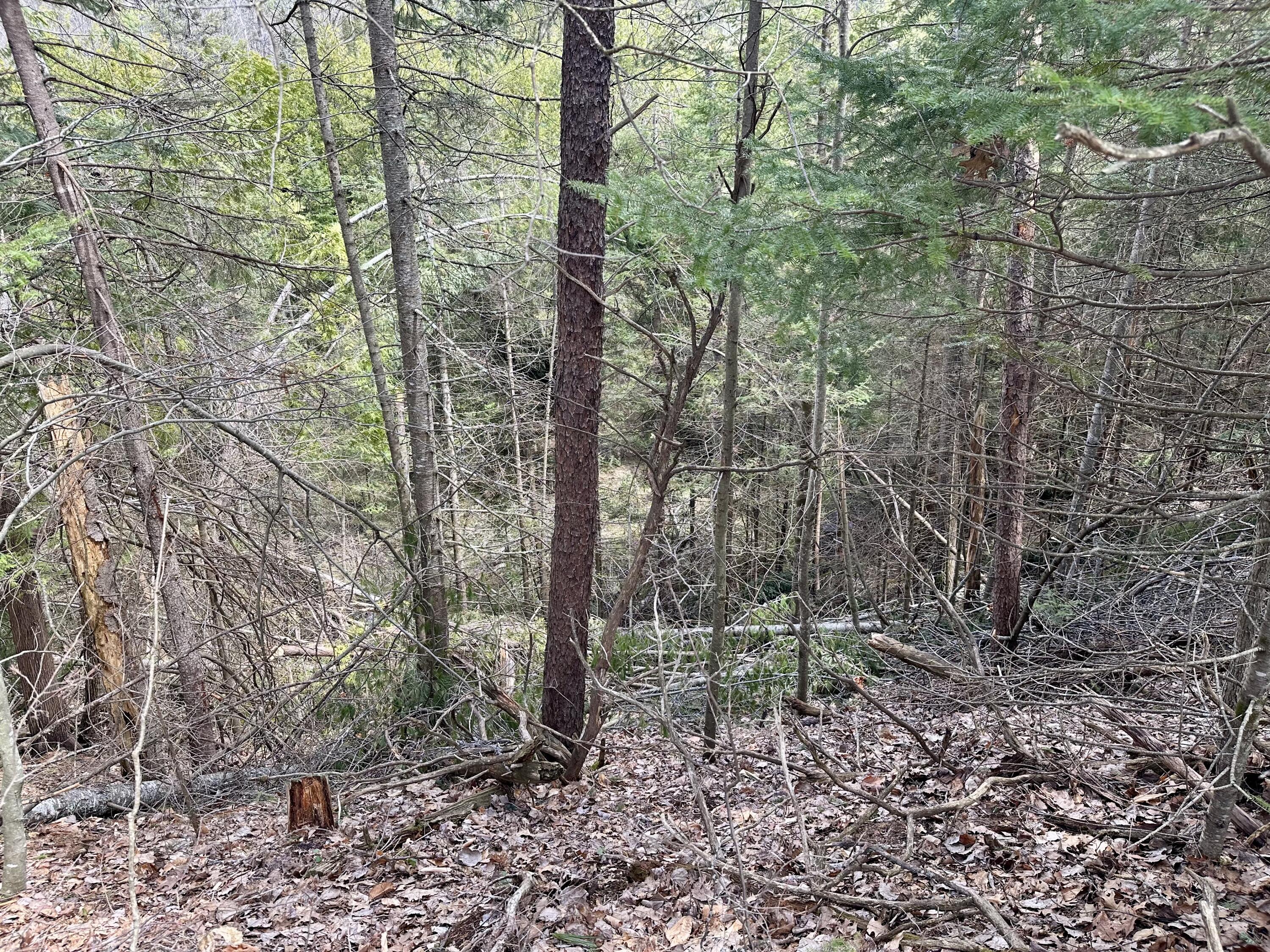 4409 Big Sky Trail, Lot #17