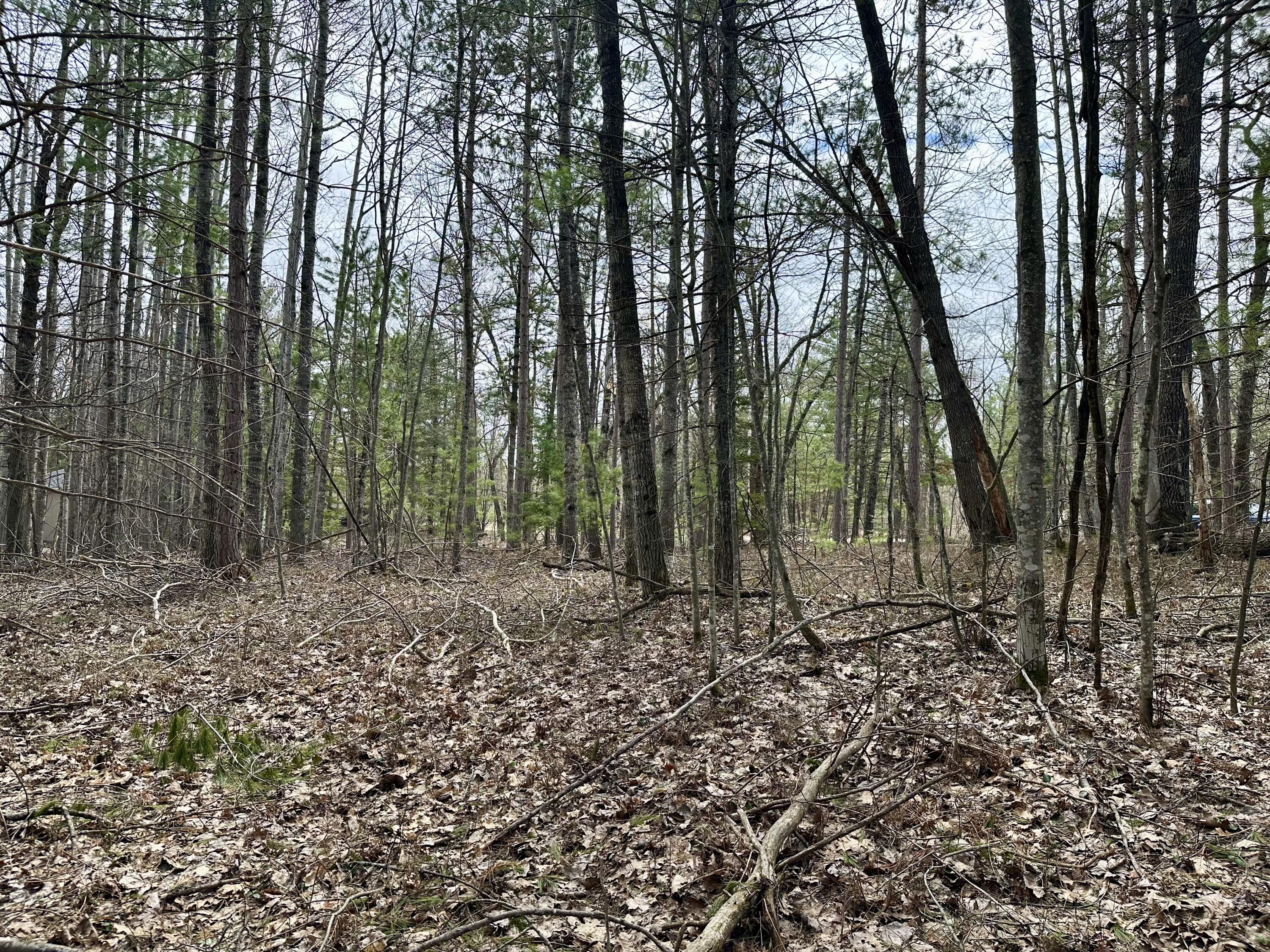 4409 Big Sky Trail, Lot #17