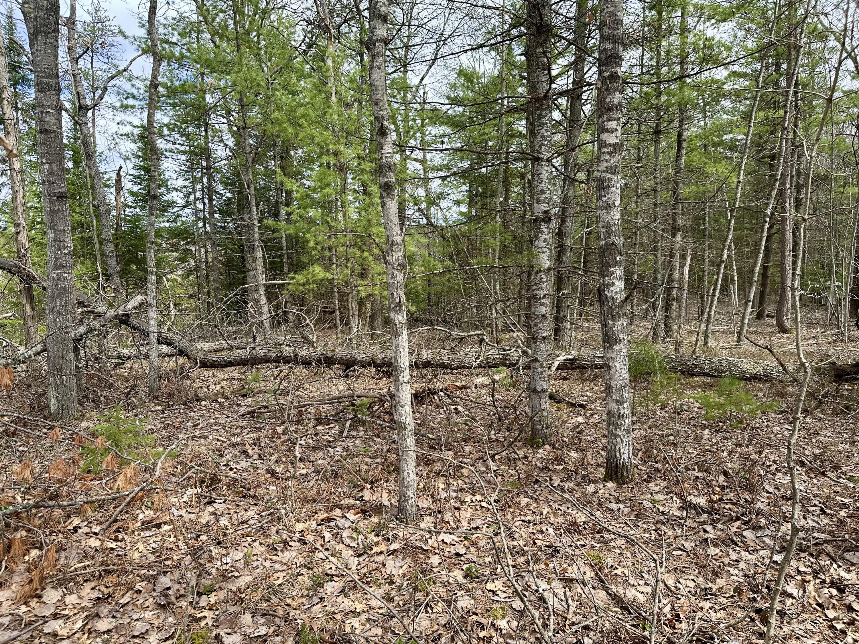 4409 Big Sky Trail, Lot #17