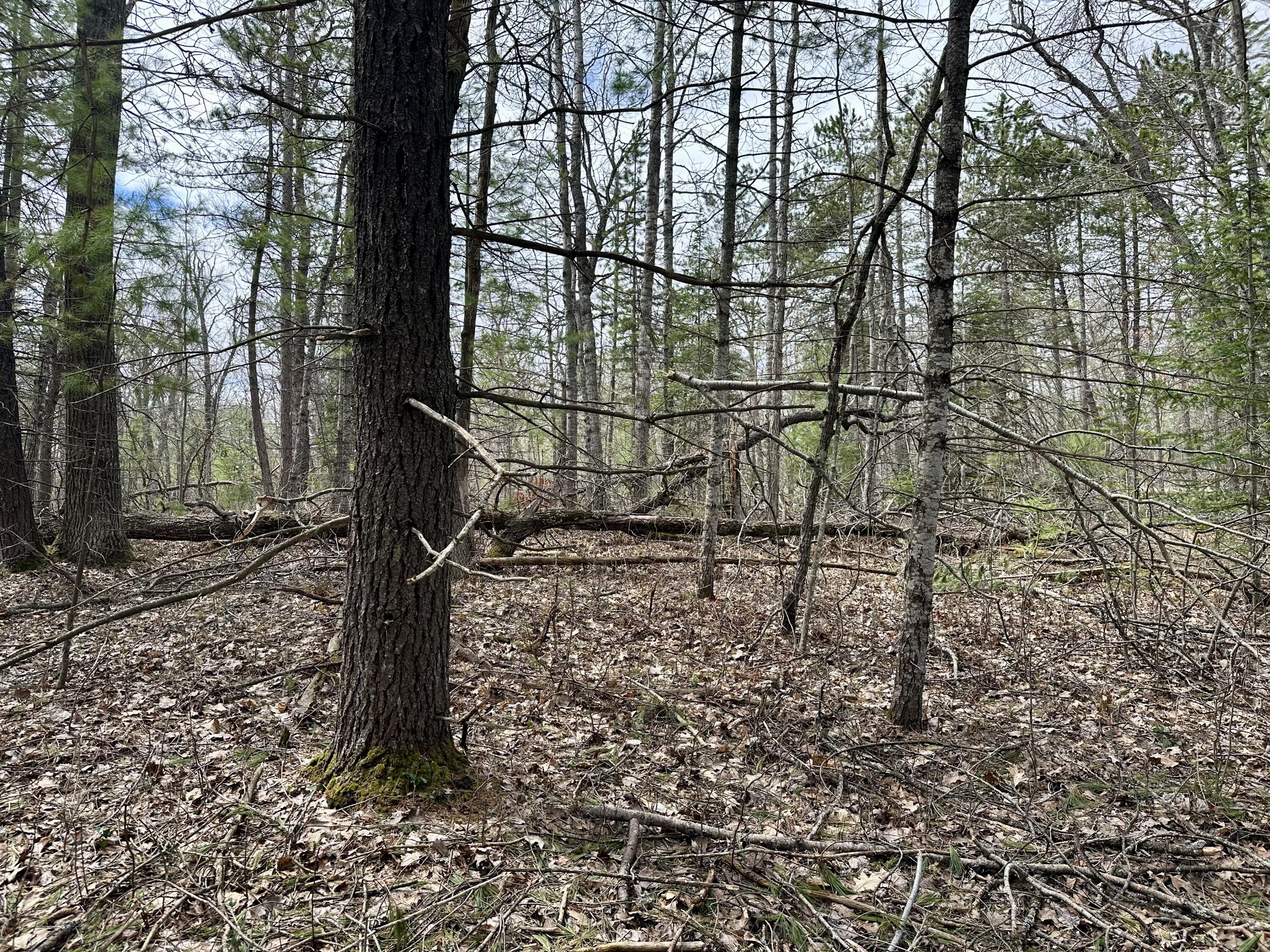 4409 Big Sky Trail, Lot #17