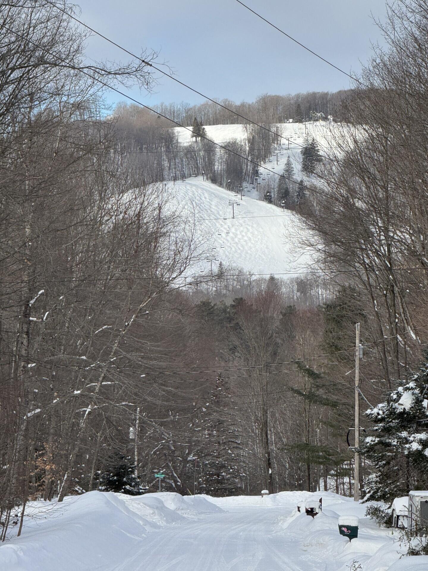 226 Wild Cherry Lane