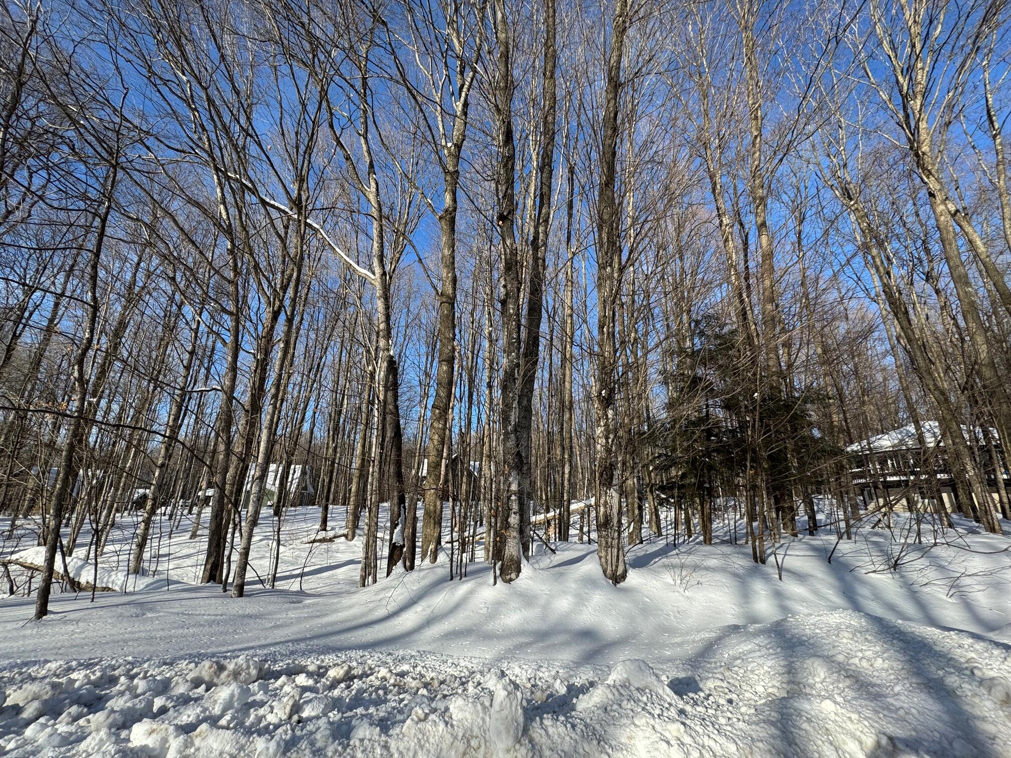 226 Wild Cherry Lane