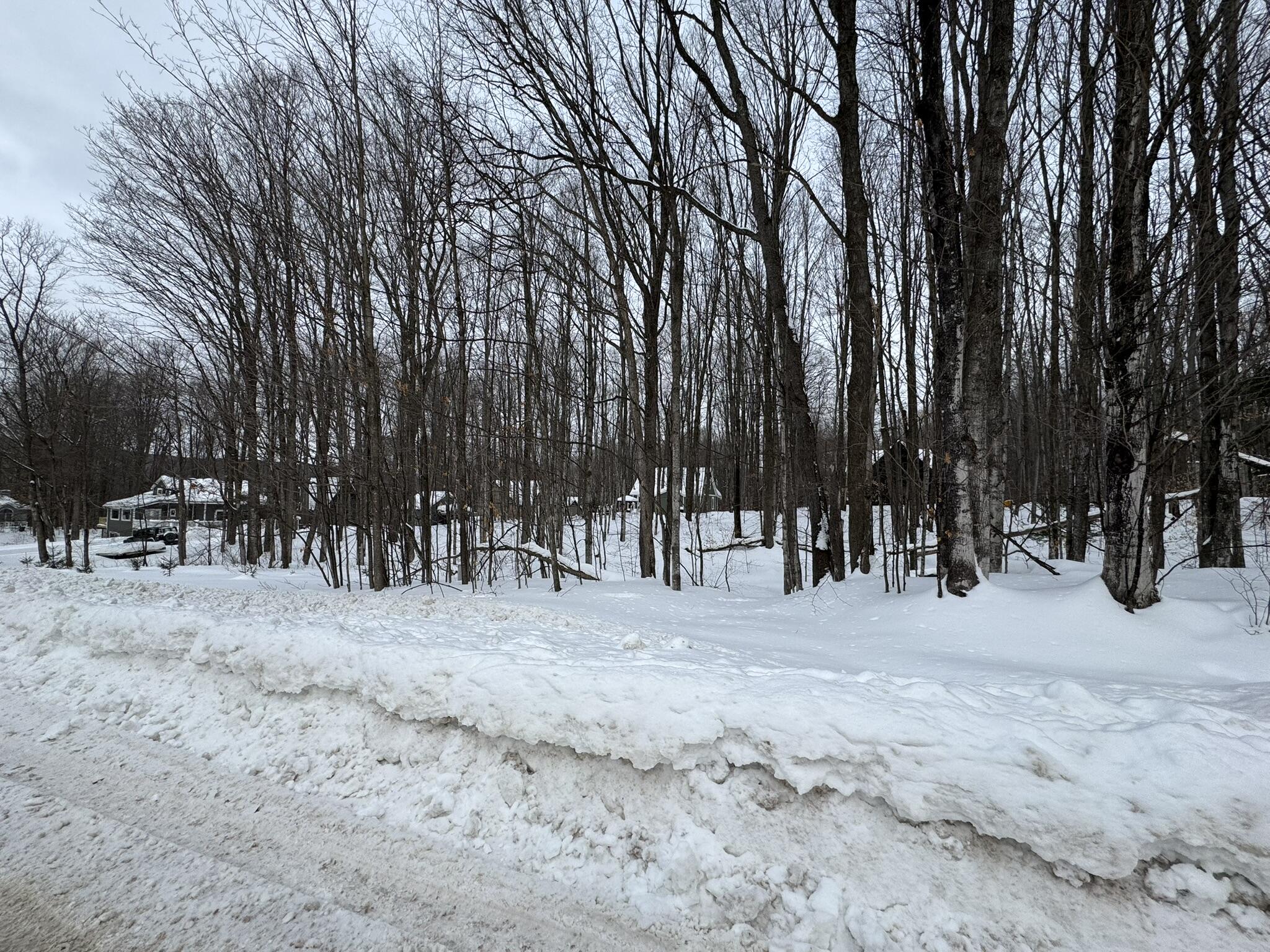 226 Wild Cherry Lane