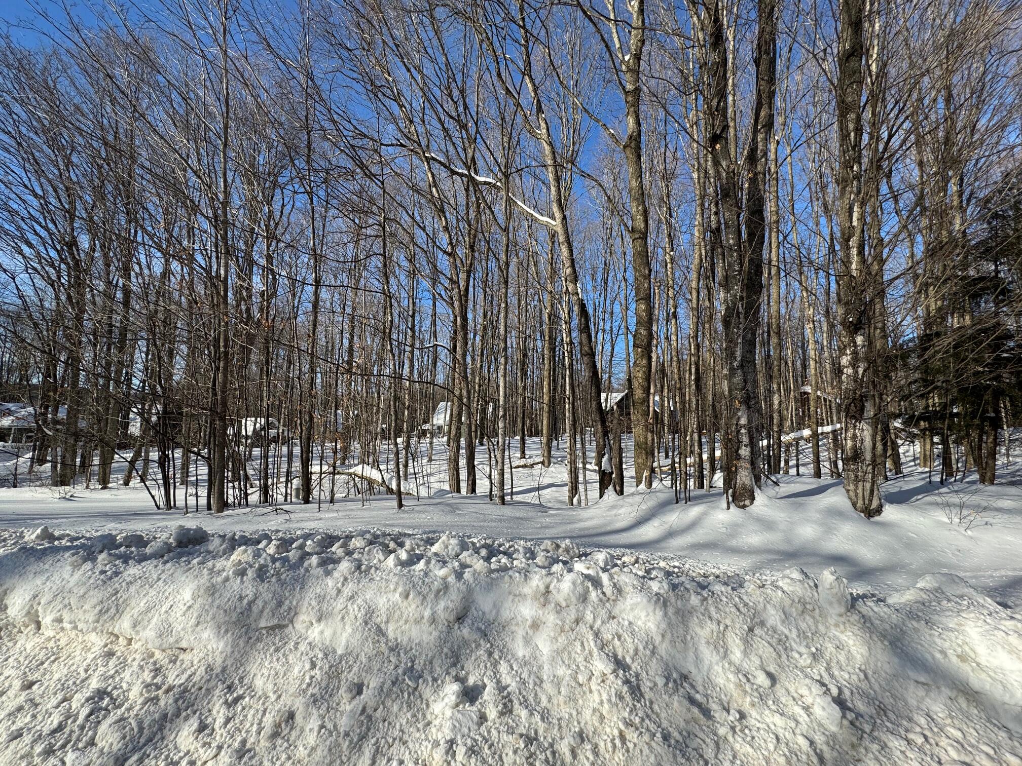 226 Wild Cherry Lane