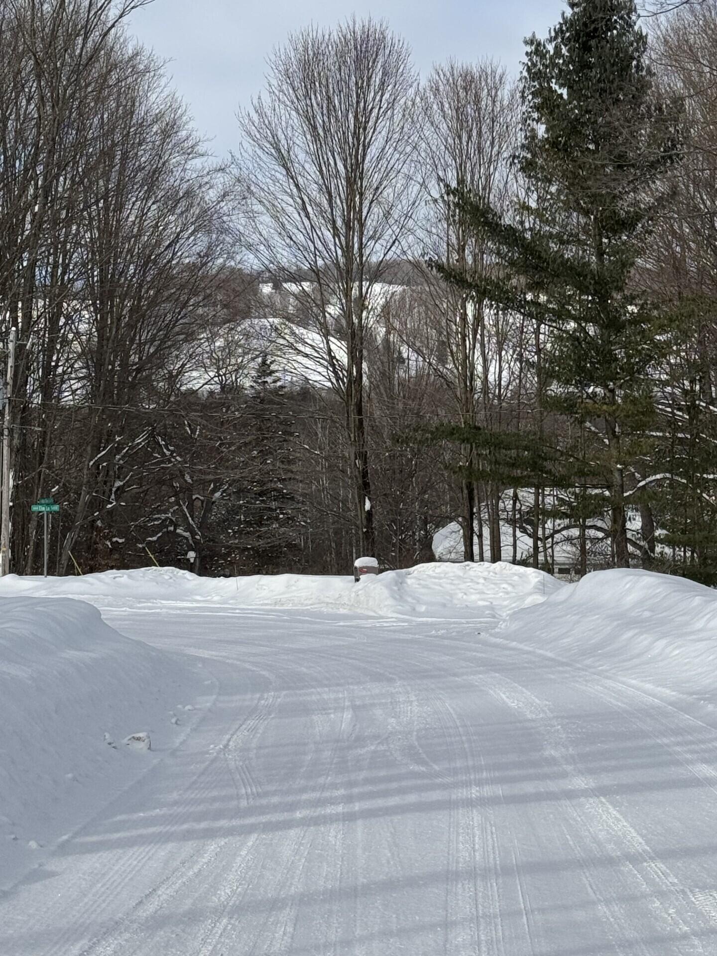 226 Wild Cherry Lane