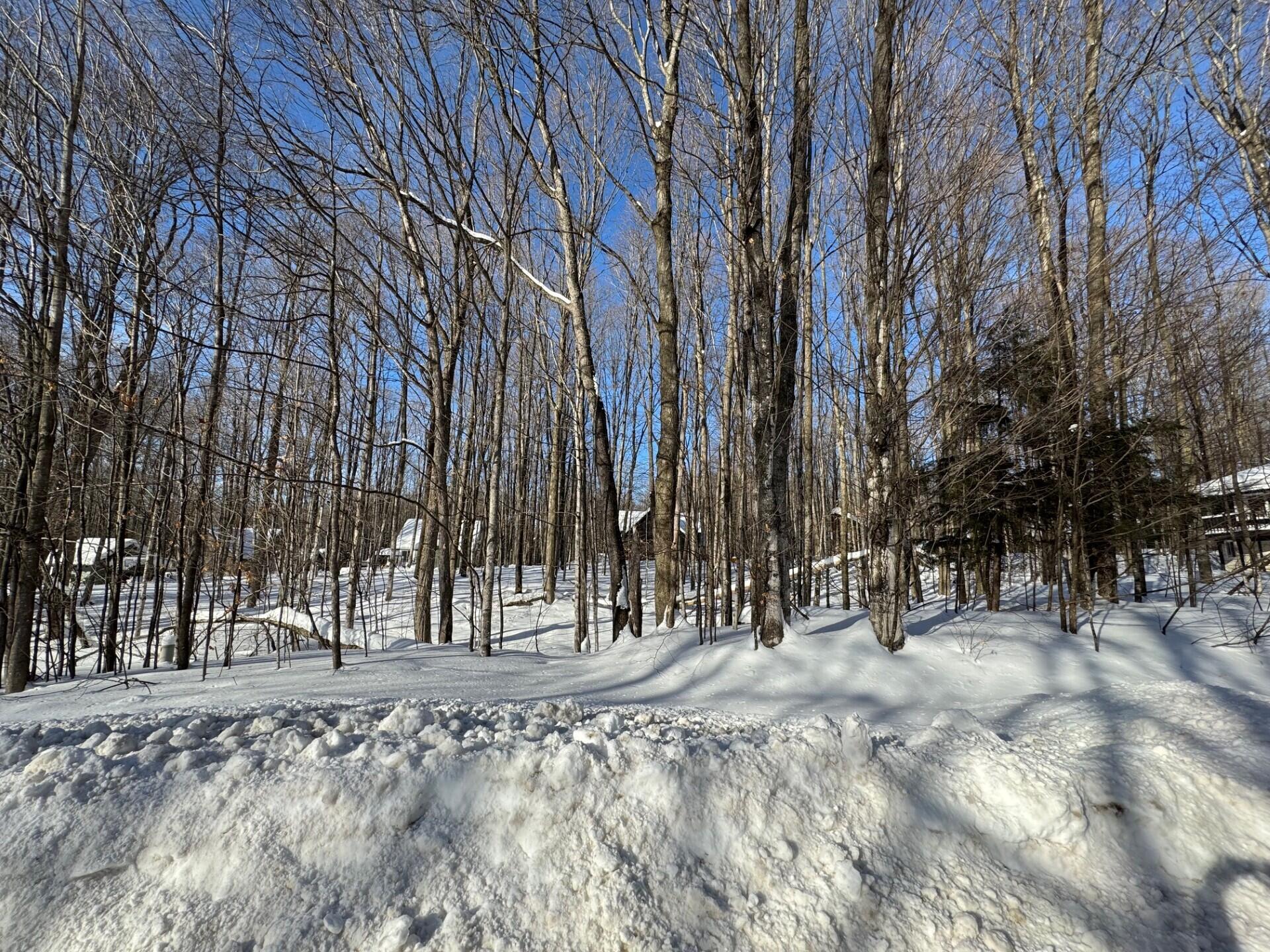 226 Wild Cherry Lane