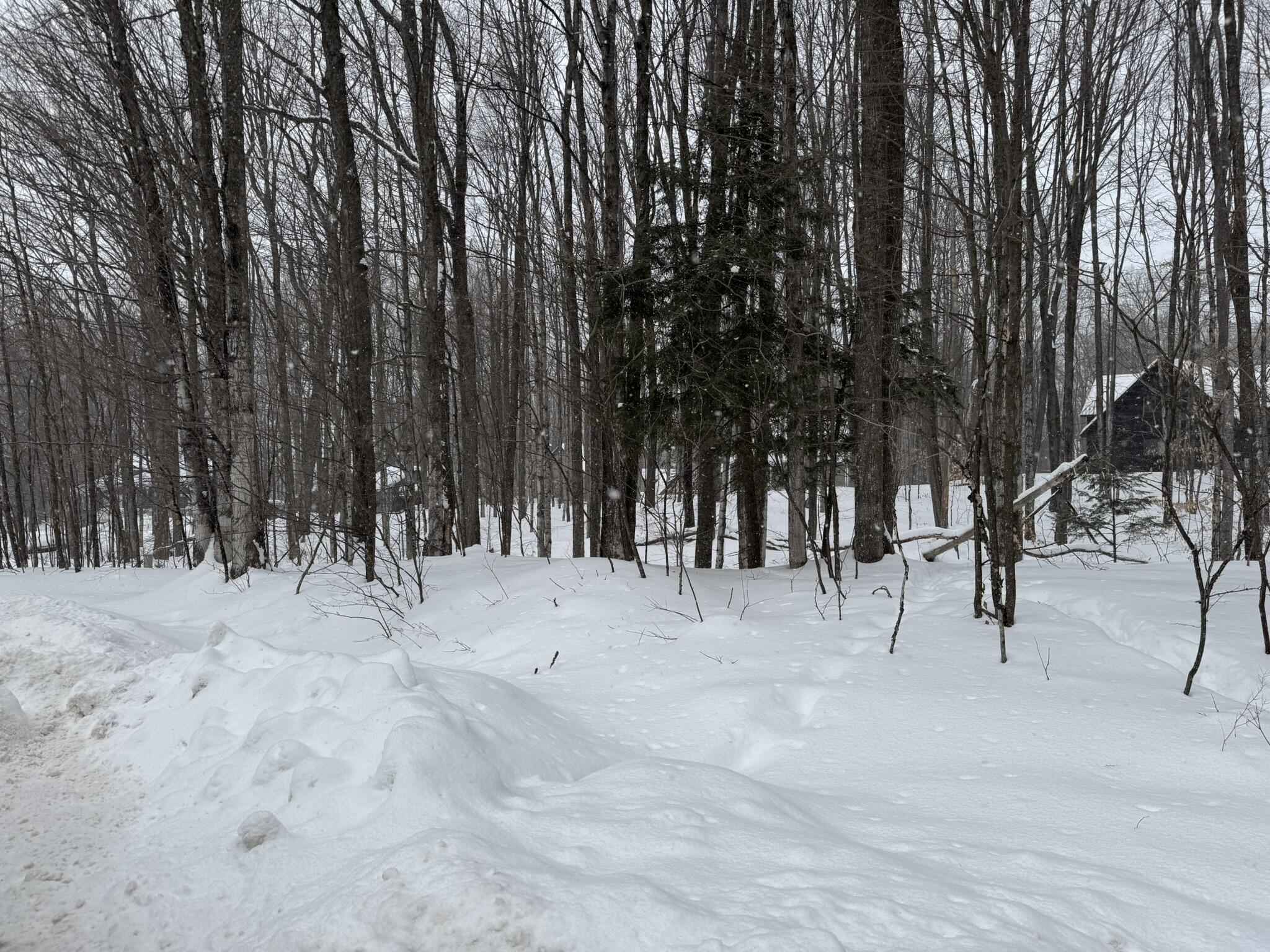 226 Wild Cherry Lane