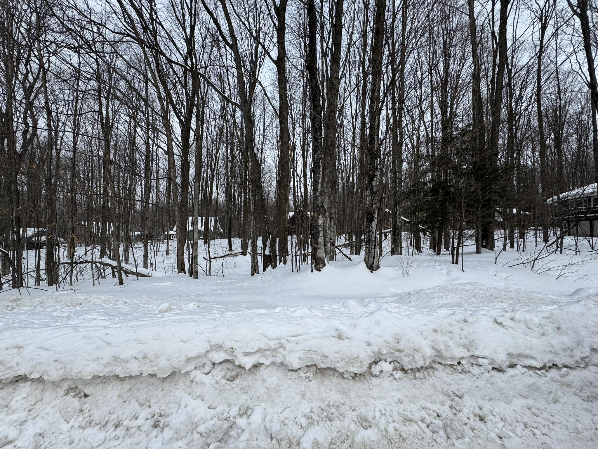 226 Wild Cherry Lane