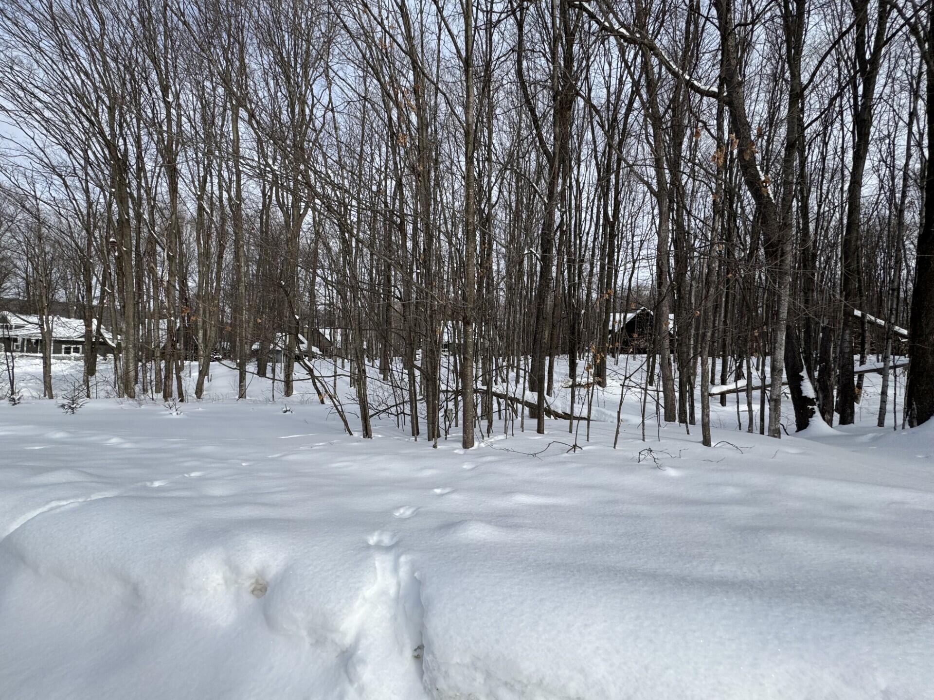 226 Wild Cherry Lane