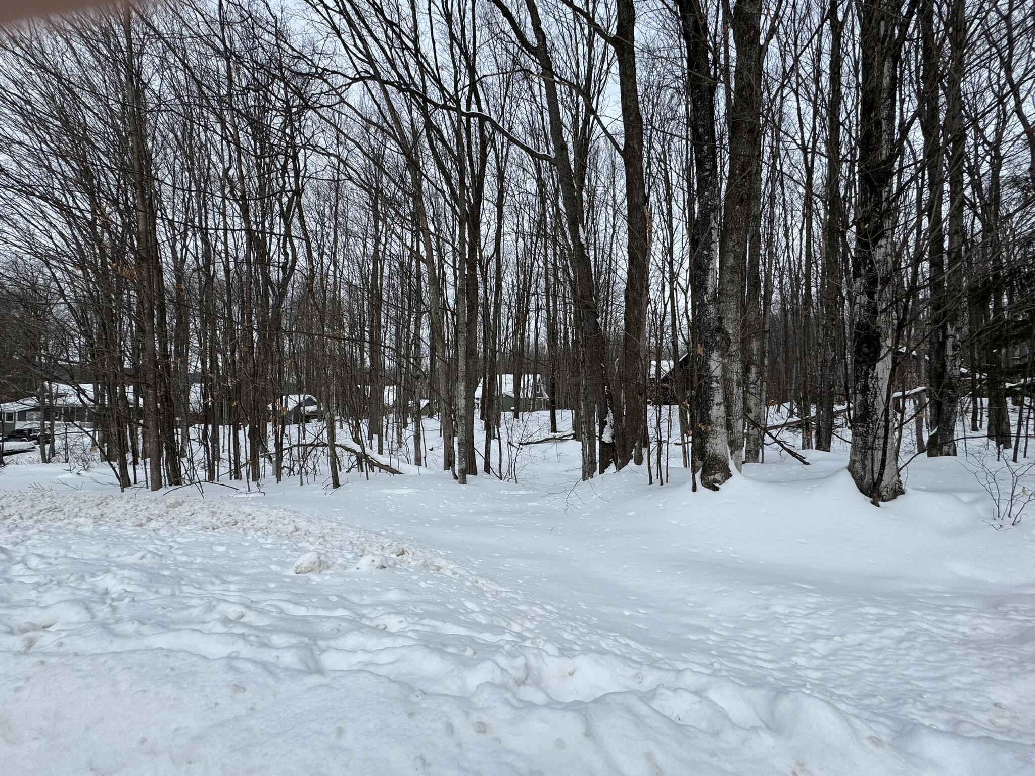 226 Wild Cherry Lane