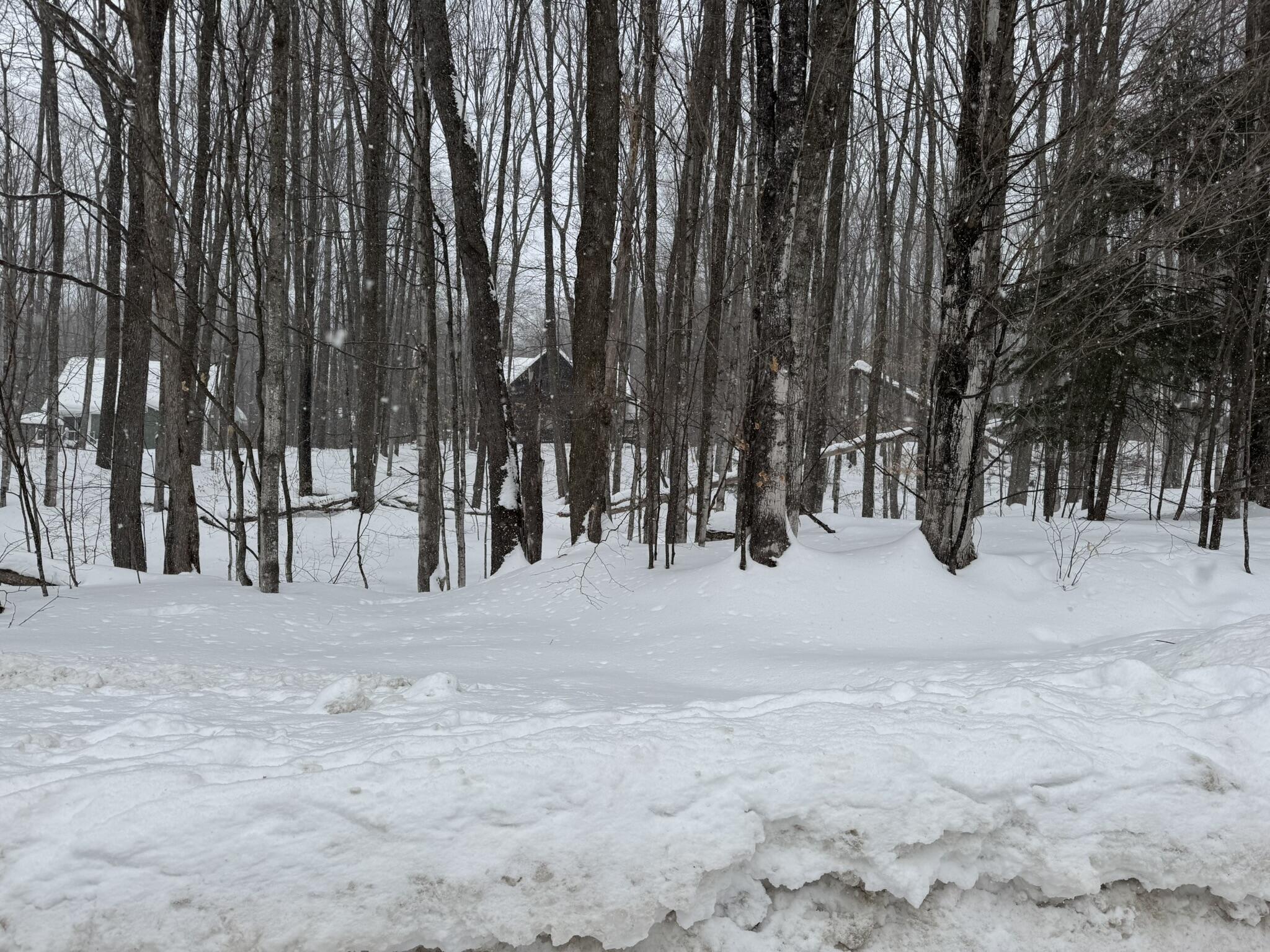 226 Wild Cherry Lane